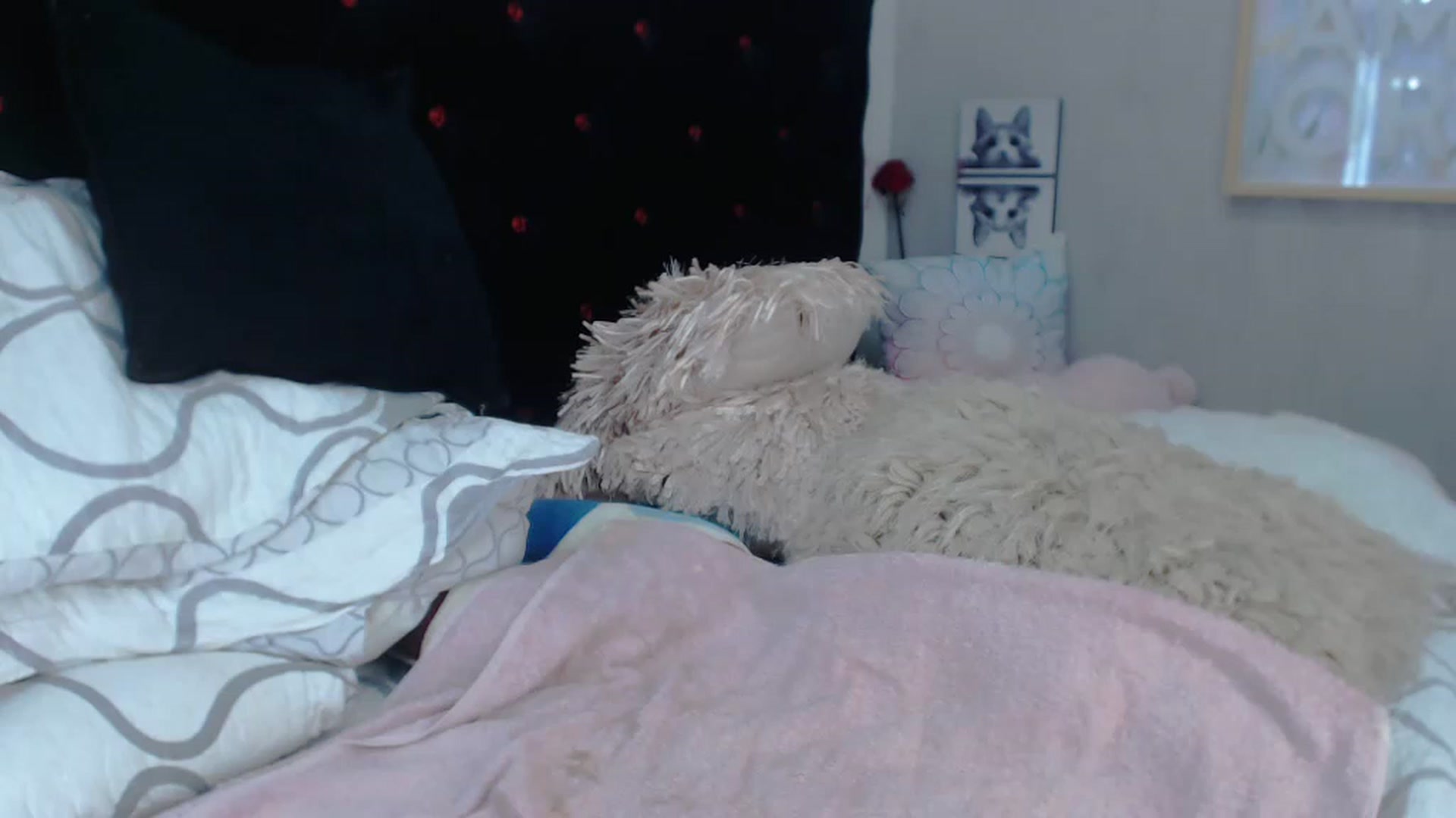Gallery image thumbnail from SexyAlexaX's myfreecams stream on, 11/21/2022, 21:24 image 9 of 20