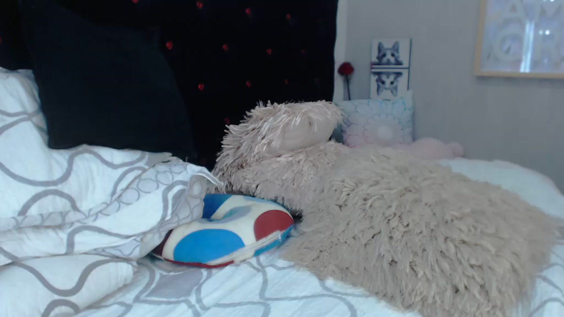 Gallery image thumbnail from SexyAlexaX's myfreecams stream on, 11/21/2022, 21:24 image 3 of 20