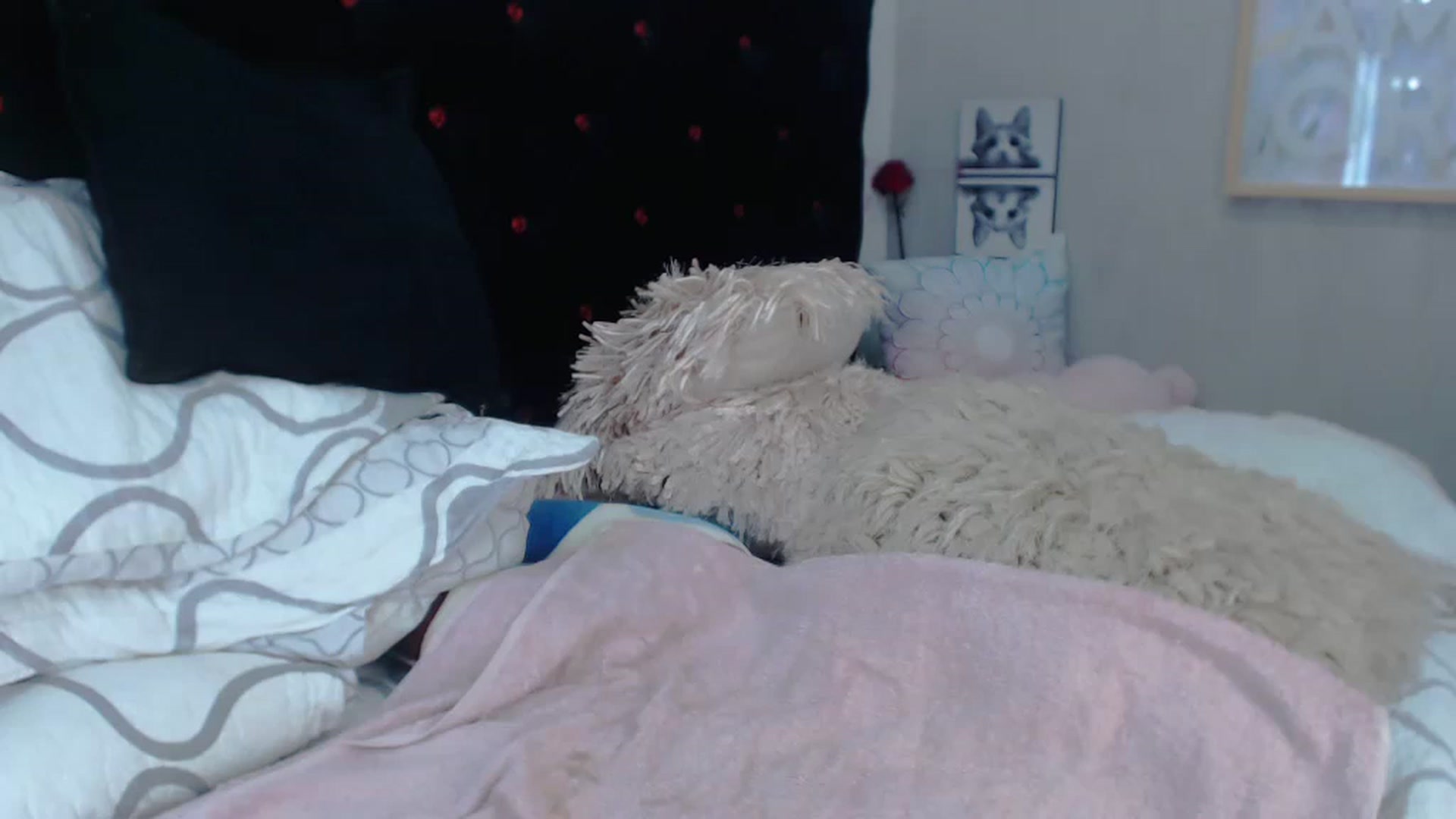 Gallery image thumbnail from SexyAlexaX's myfreecams stream on, 11/21/2022, 21:24 image 10 of 20