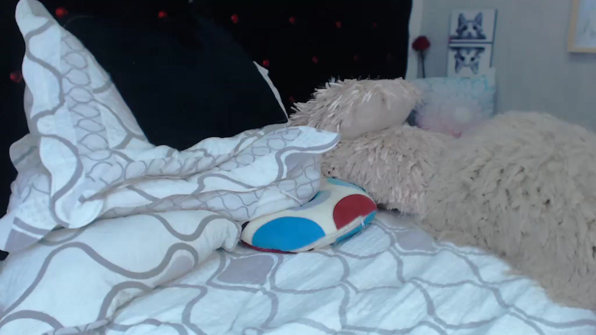 Gallery image thumbnail from SexyAlexaX's myfreecams stream on, 11/21/2022, 22:43 image 19 of 20