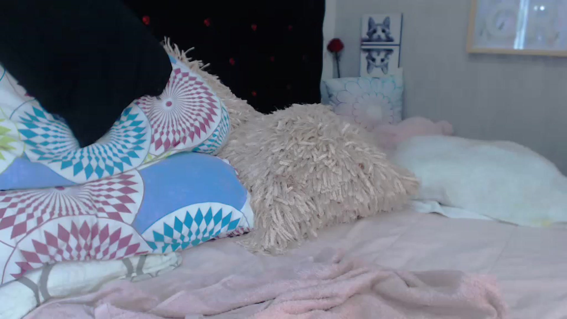 Gallery image thumbnail from SexyAlexaX's myfreecams stream on, 11/22/2022, 16:19 image 17 of 20