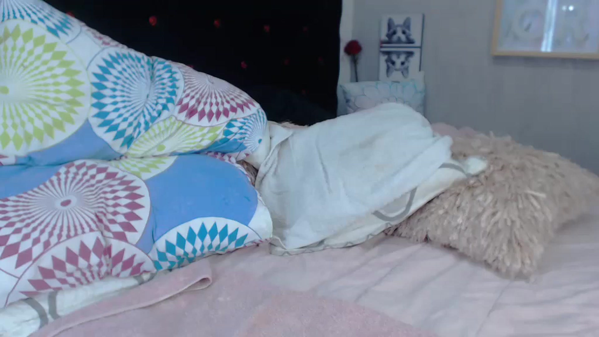Gallery image thumbnail from SexyAlexaX's myfreecams stream on, 11/22/2022, 16:19 image 6 of 20