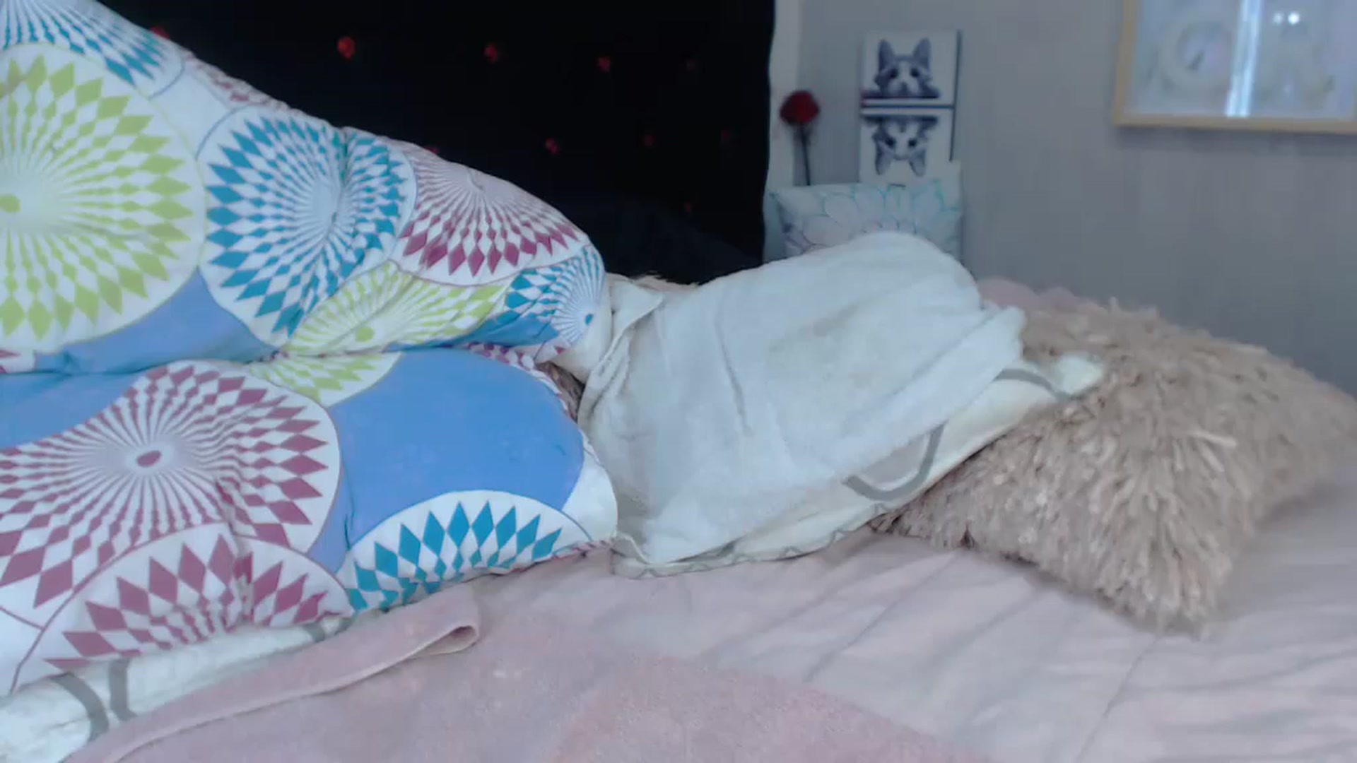 Gallery image thumbnail from SexyAlexaX's myfreecams stream on, 11/22/2022, 16:19 image 7 of 20