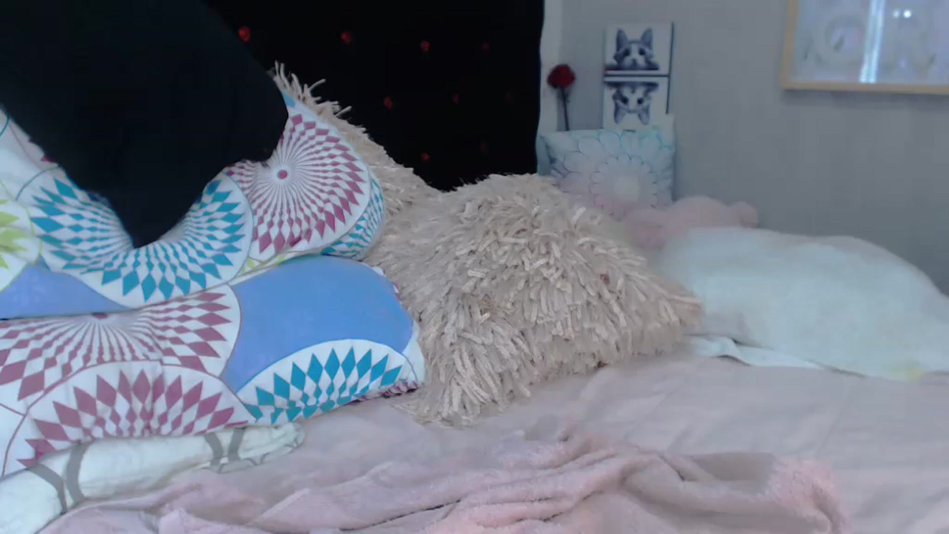 Gallery image thumbnail from SexyAlexaX's myfreecams stream on, 11/22/2022, 16:19 image 16 of 20