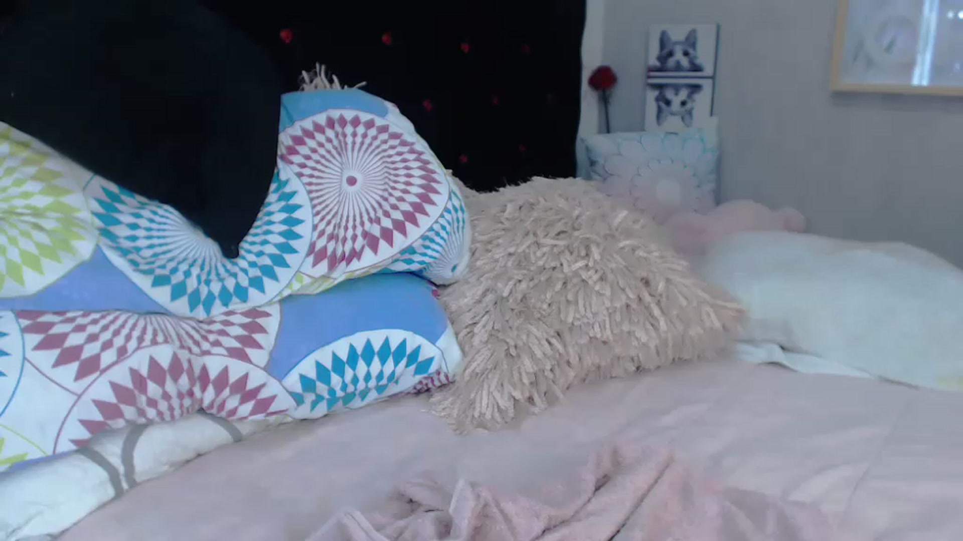Gallery image thumbnail from SexyAlexaX's myfreecams stream on, 11/22/2022, 17:36 image 3 of 20