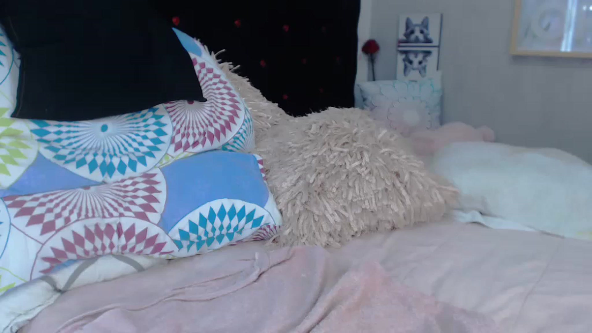 Gallery image thumbnail from SexyAlexaX's myfreecams stream on, 11/22/2022, 17:36 image 18 of 20