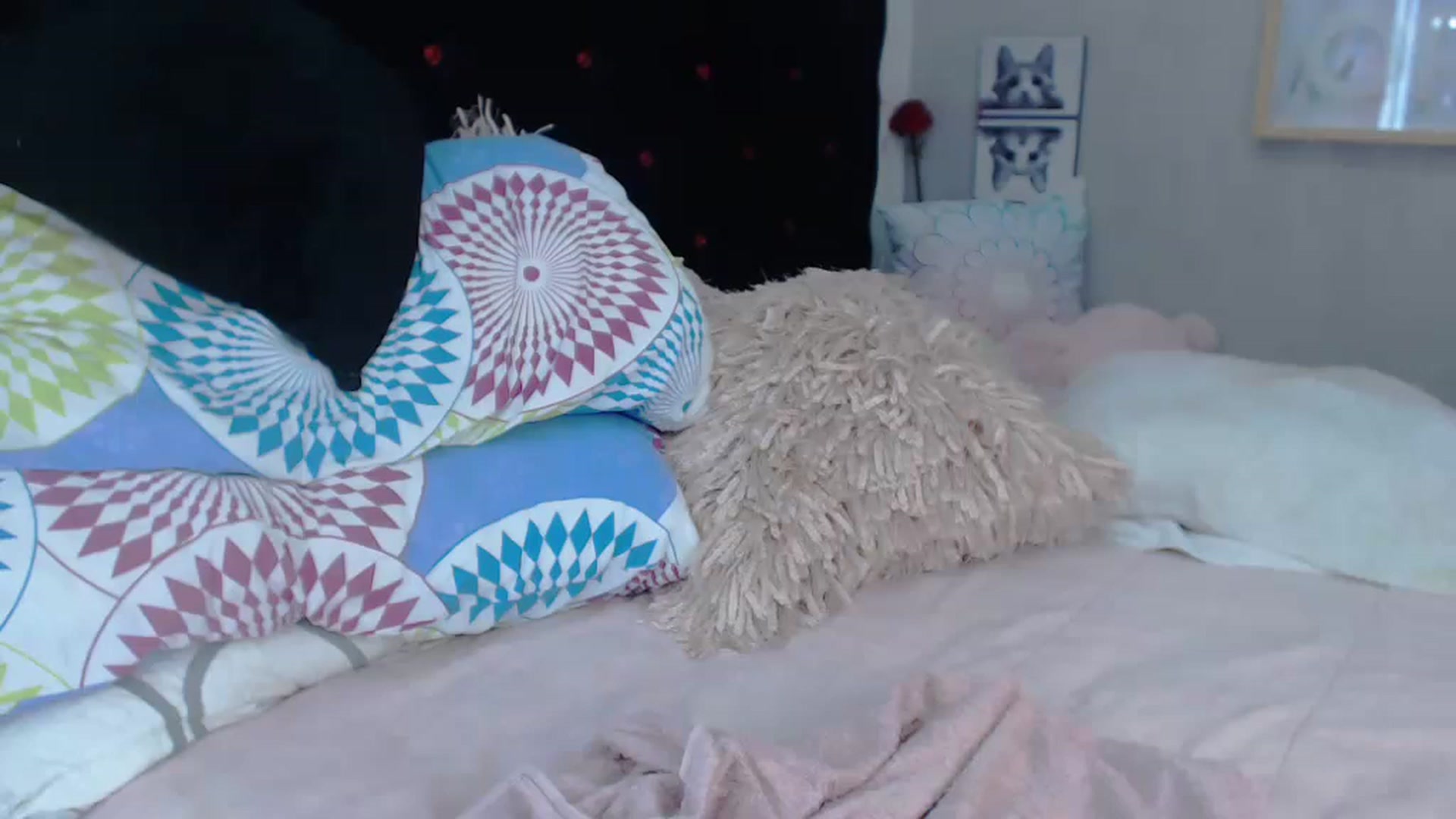 Gallery image thumbnail from SexyAlexaX's myfreecams stream on, 11/22/2022, 17:36 image 4 of 20