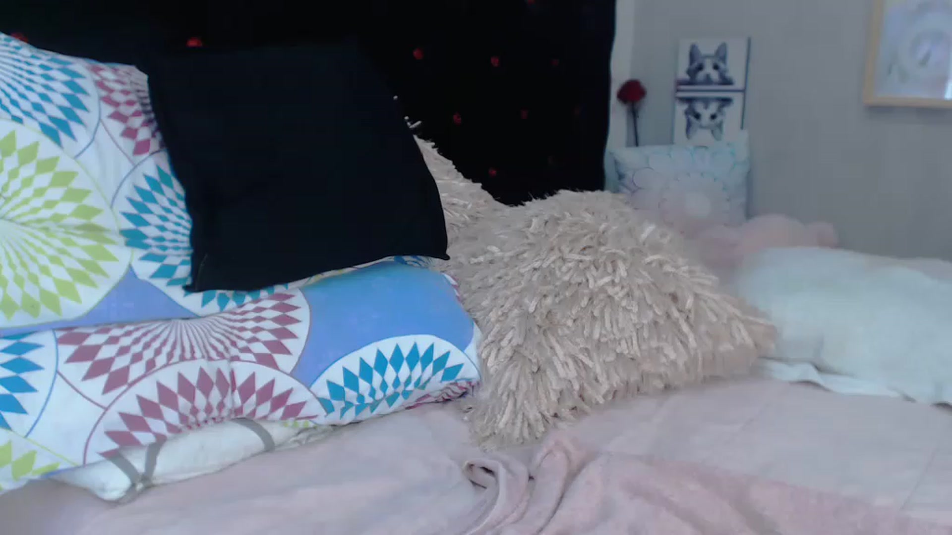 Gallery image thumbnail from SexyAlexaX's myfreecams stream on, 11/22/2022, 22:25 image 6 of 20