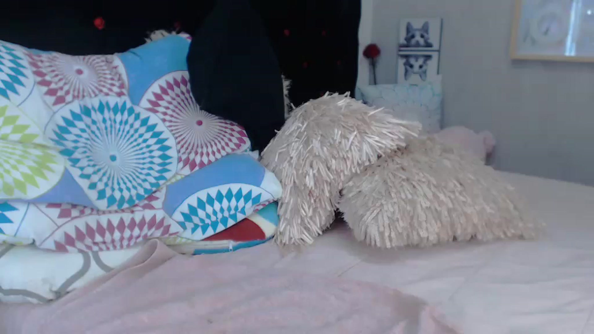 Gallery image thumbnail from SexyAlexaX's myfreecams stream on, 11/25/2022, 22:38 image 16 of 20