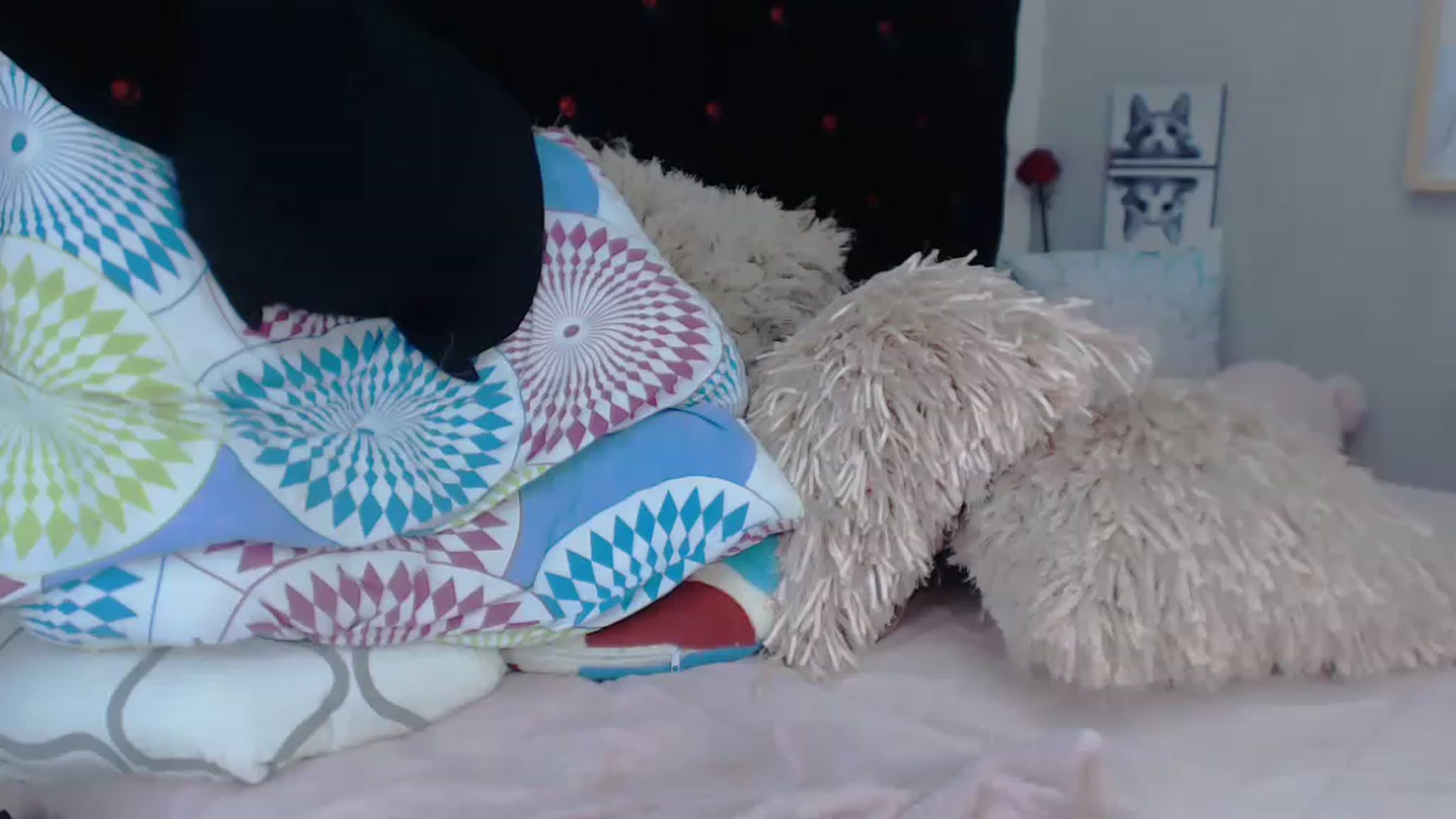 Gallery image thumbnail from SexyAlexaX's myfreecams stream on, 11/25/2022, 22:38 image 2 of 20