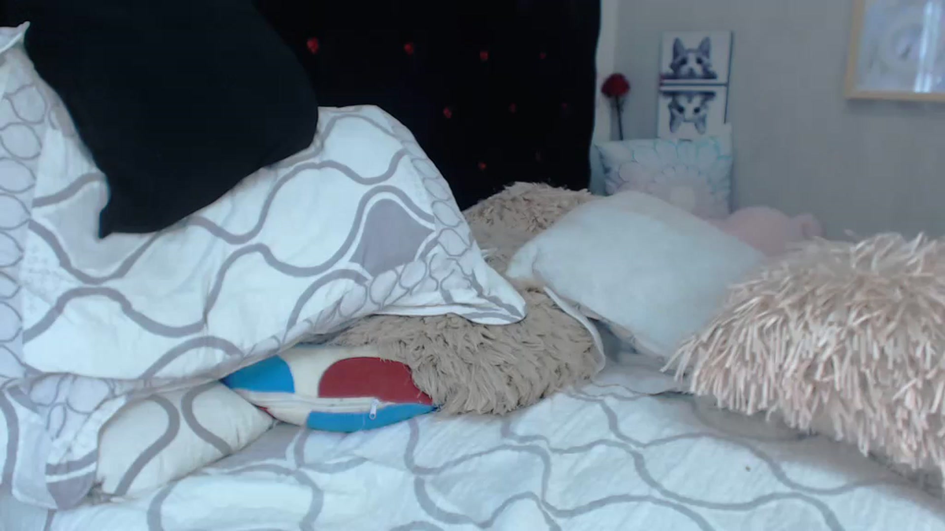 Gallery image thumbnail from SexyAlexaX's myfreecams stream on, 11/26/2022, 21:48 image 8 of 20