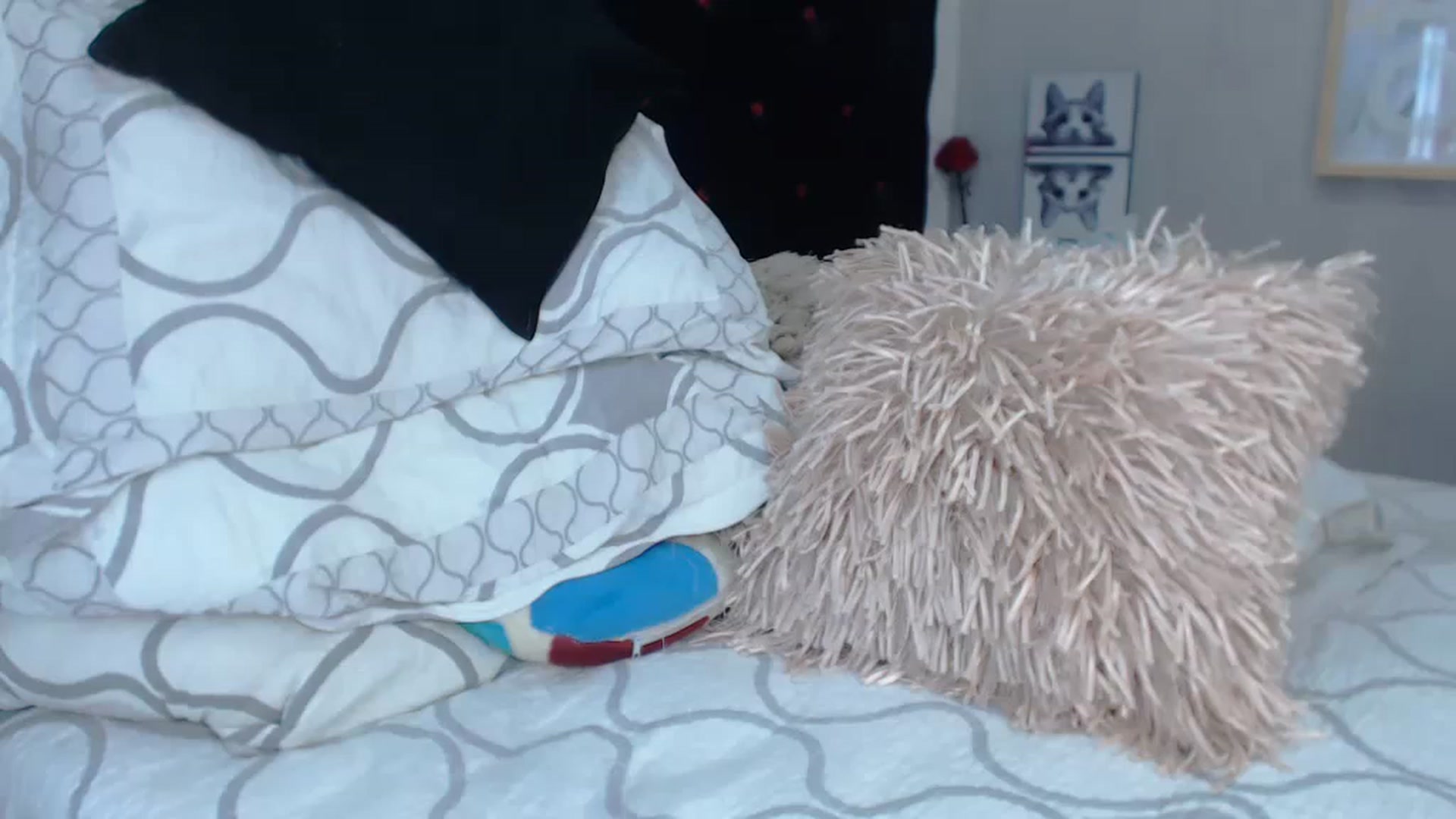Gallery image thumbnail from SexyAlexaX's myfreecams stream on, 11/29/2022, 17:22 image 1 of 20