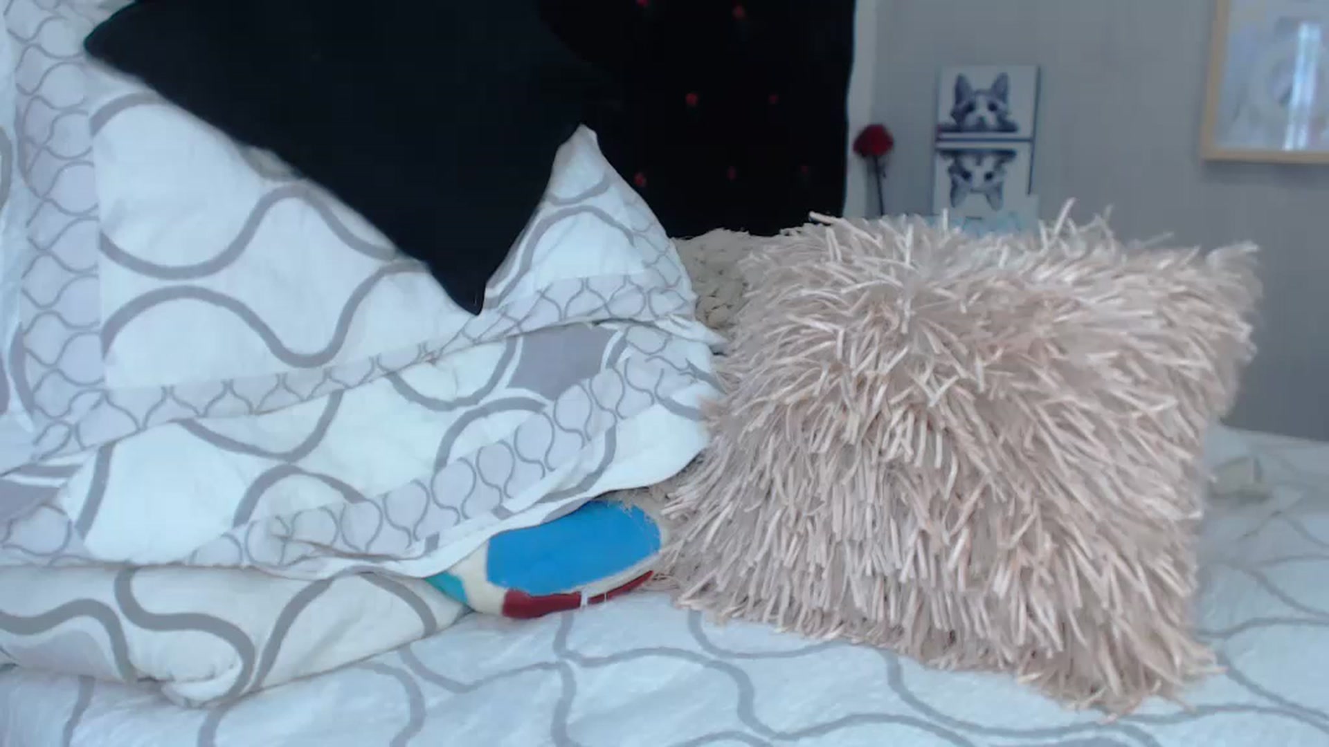 Gallery image thumbnail from SexyAlexaX's myfreecams stream on, 11/29/2022, 17:22 image 11 of 20