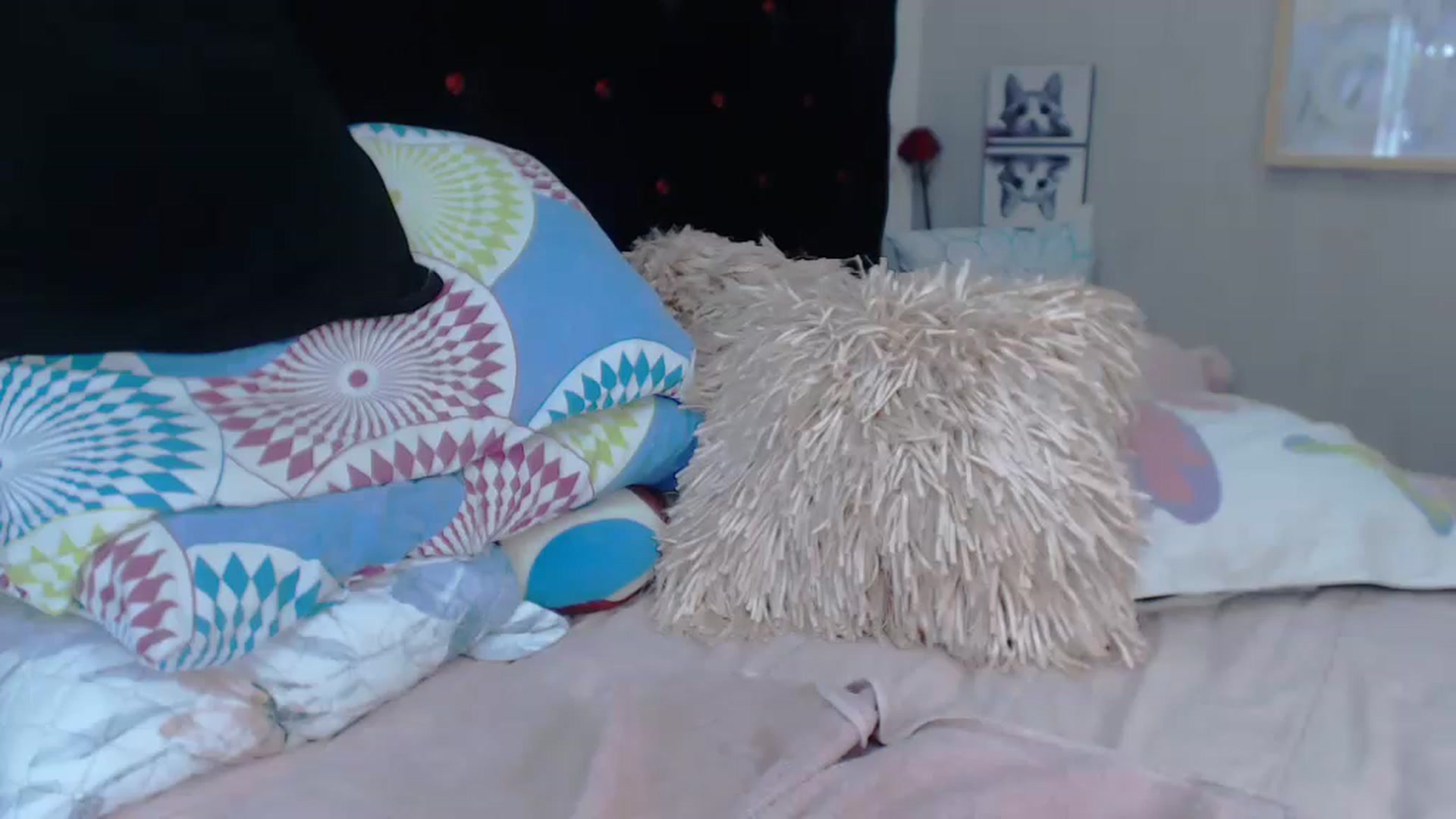 Gallery image thumbnail from SexyAlexaX's myfreecams stream on, 11/30/2022, 22:51 image 8 of 20