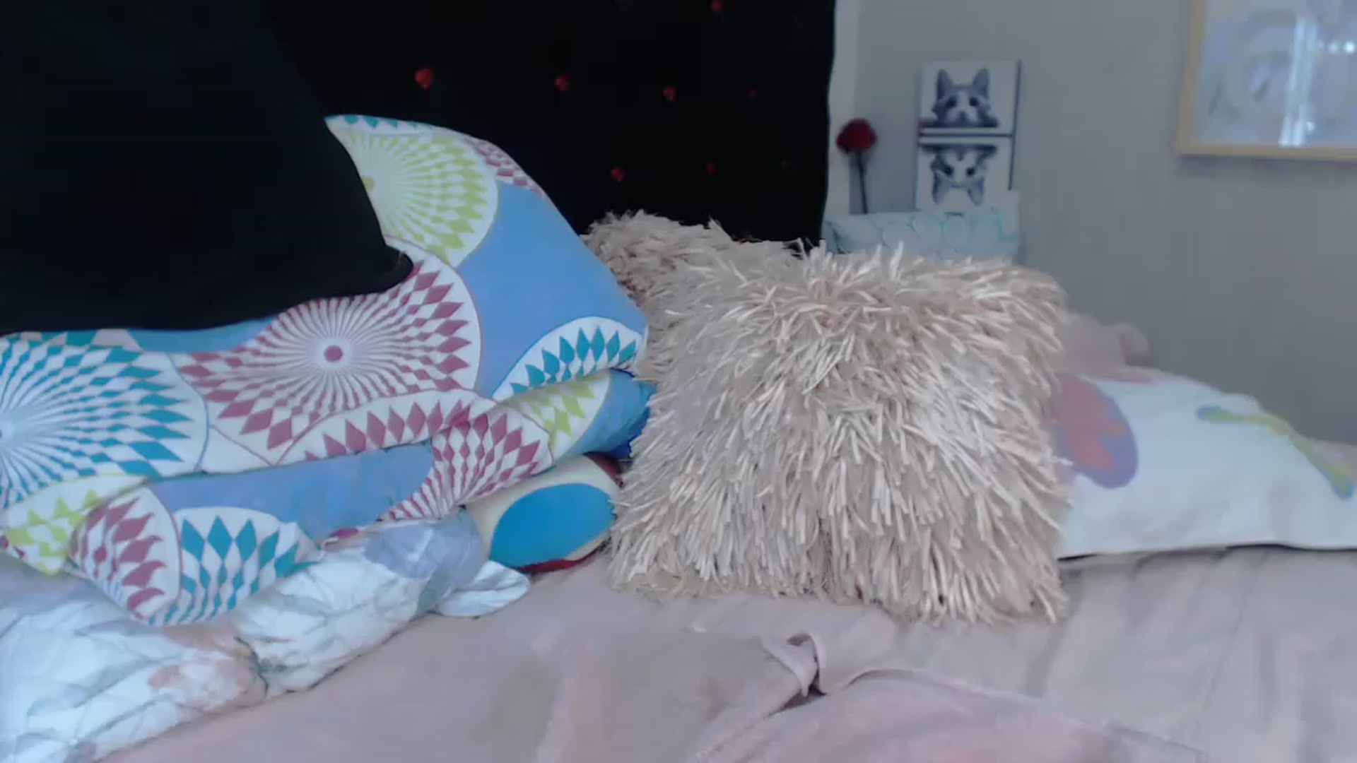 Gallery image thumbnail from SexyAlexaX's myfreecams stream on, 11/30/2022, 22:51 image 6 of 20