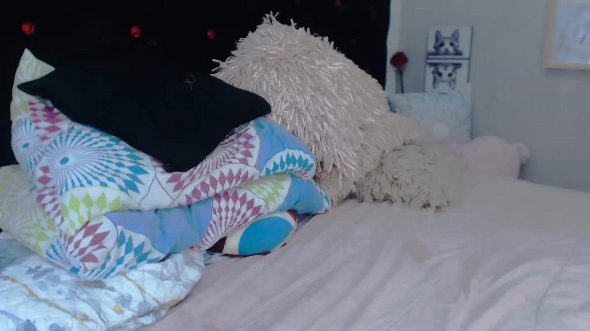 Gallery image thumbnail from SexyAlexaX's myfreecams stream on, 11/30/2022, 23:26 image 13 of 20