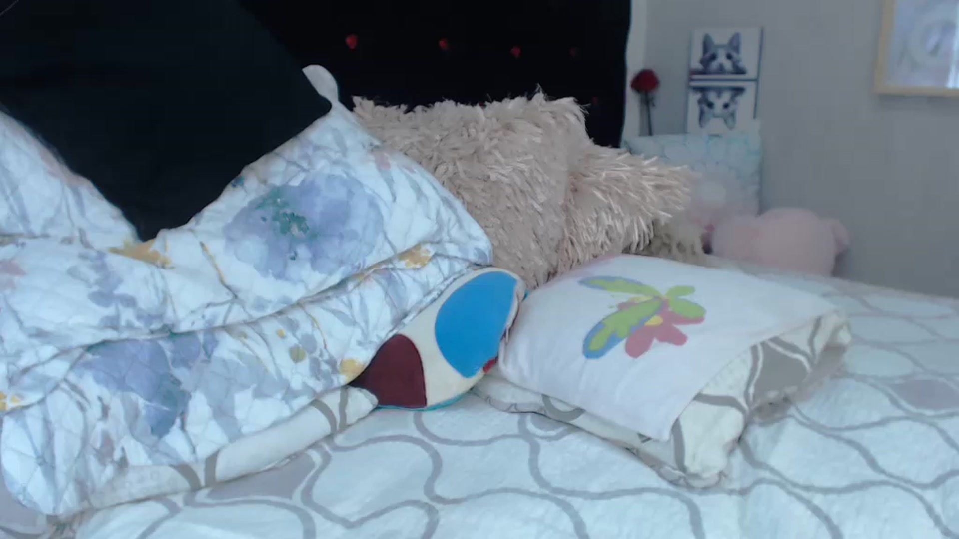 Gallery image thumbnail from SexyAlexaX's myfreecams stream on, 12/20/2022, 18:28 image 20 of 20