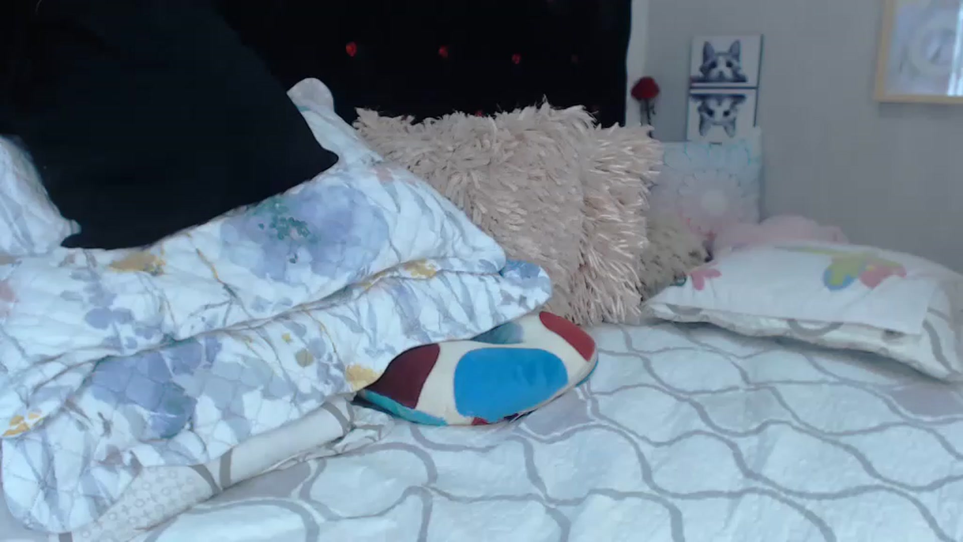 Gallery image thumbnail from SexyAlexaX's myfreecams stream on, 12/20/2022, 18:28 image 9 of 20