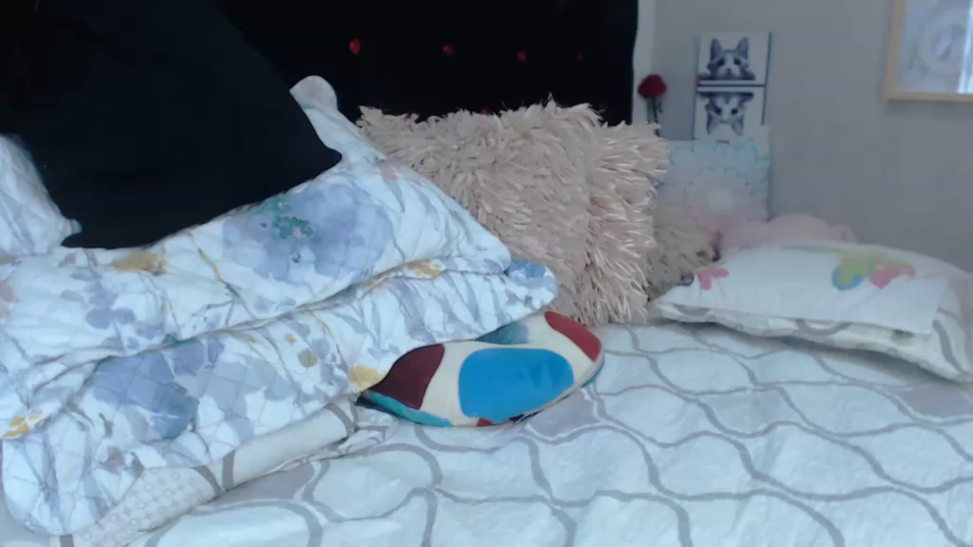 Gallery image thumbnail from SexyAlexaX's myfreecams stream on, 12/20/2022, 18:28 image 10 of 20