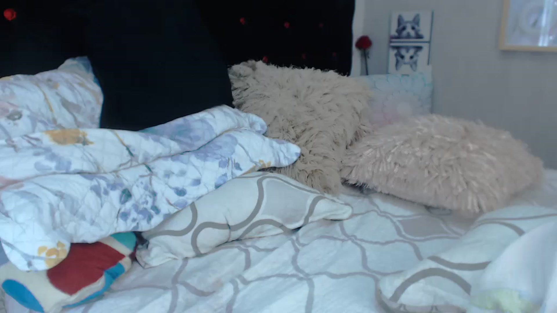 Gallery image thumbnail from SexyAlexaX's myfreecams stream on, 12/21/2022, 22:10 image 14 of 20