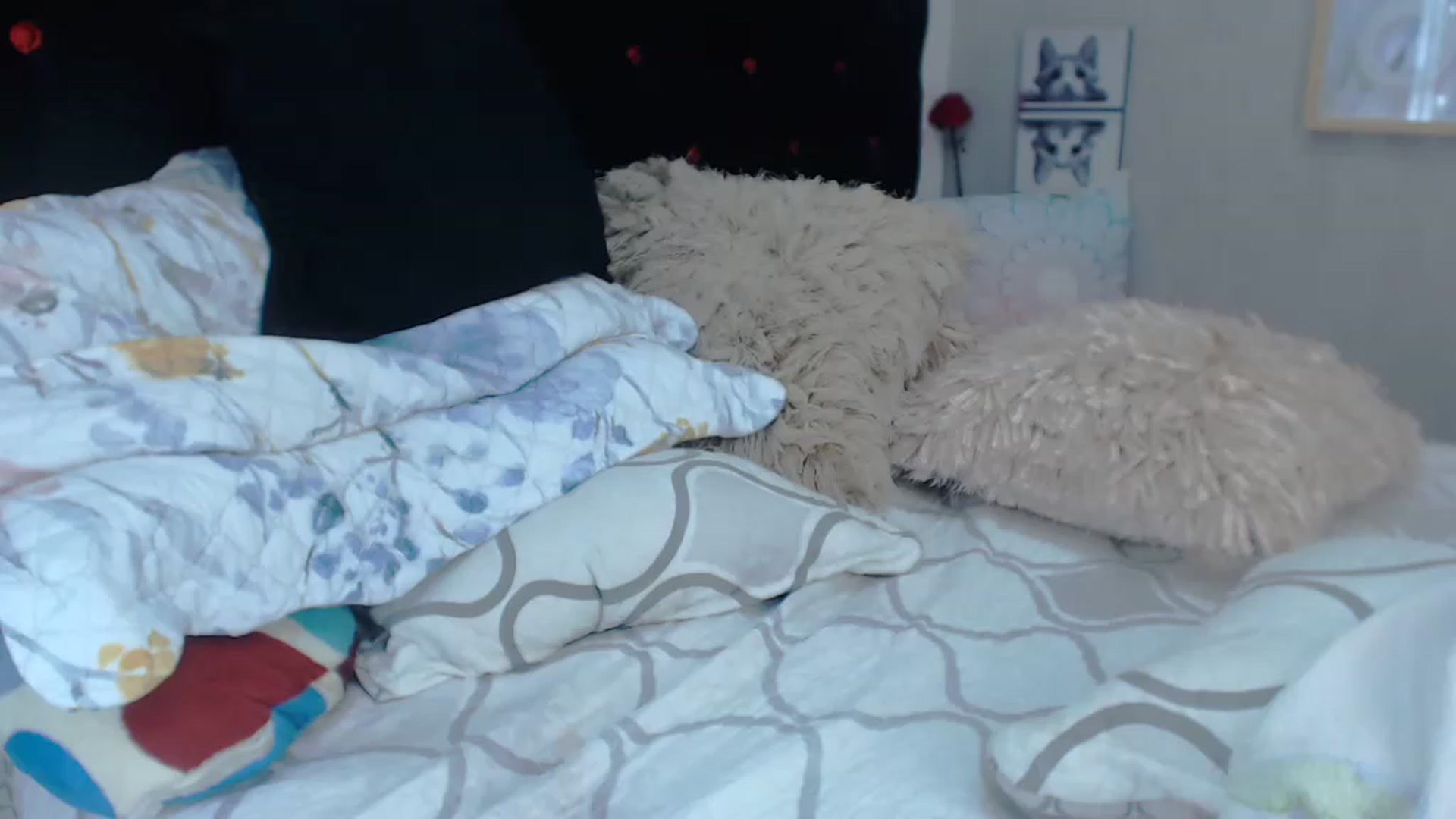 Gallery image thumbnail from SexyAlexaX's myfreecams stream on, 12/21/2022, 22:10 image 15 of 20