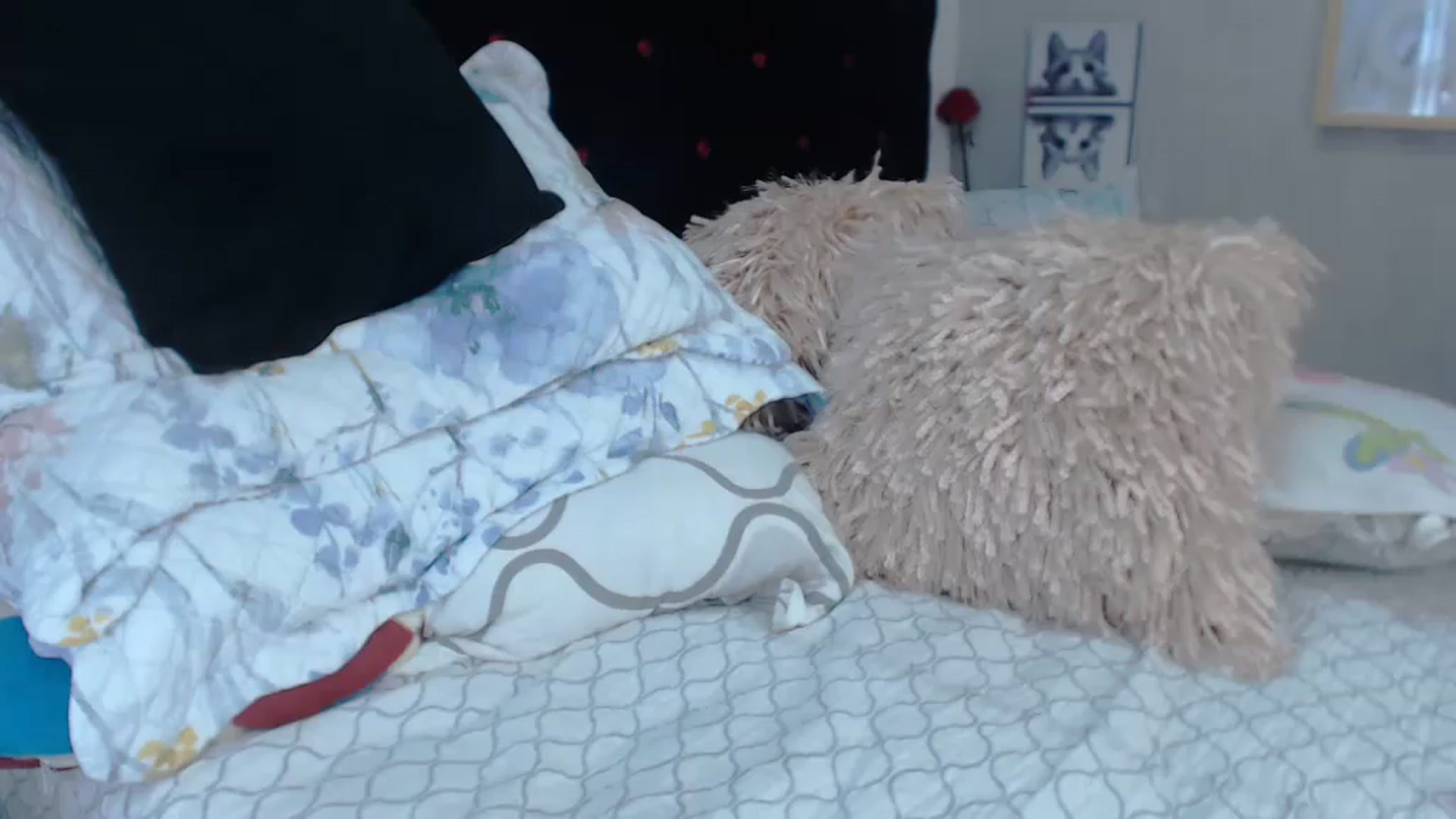 Gallery image thumbnail from SexyAlexaX's myfreecams stream on, 12/22/2022, 21:11 image 15 of 20