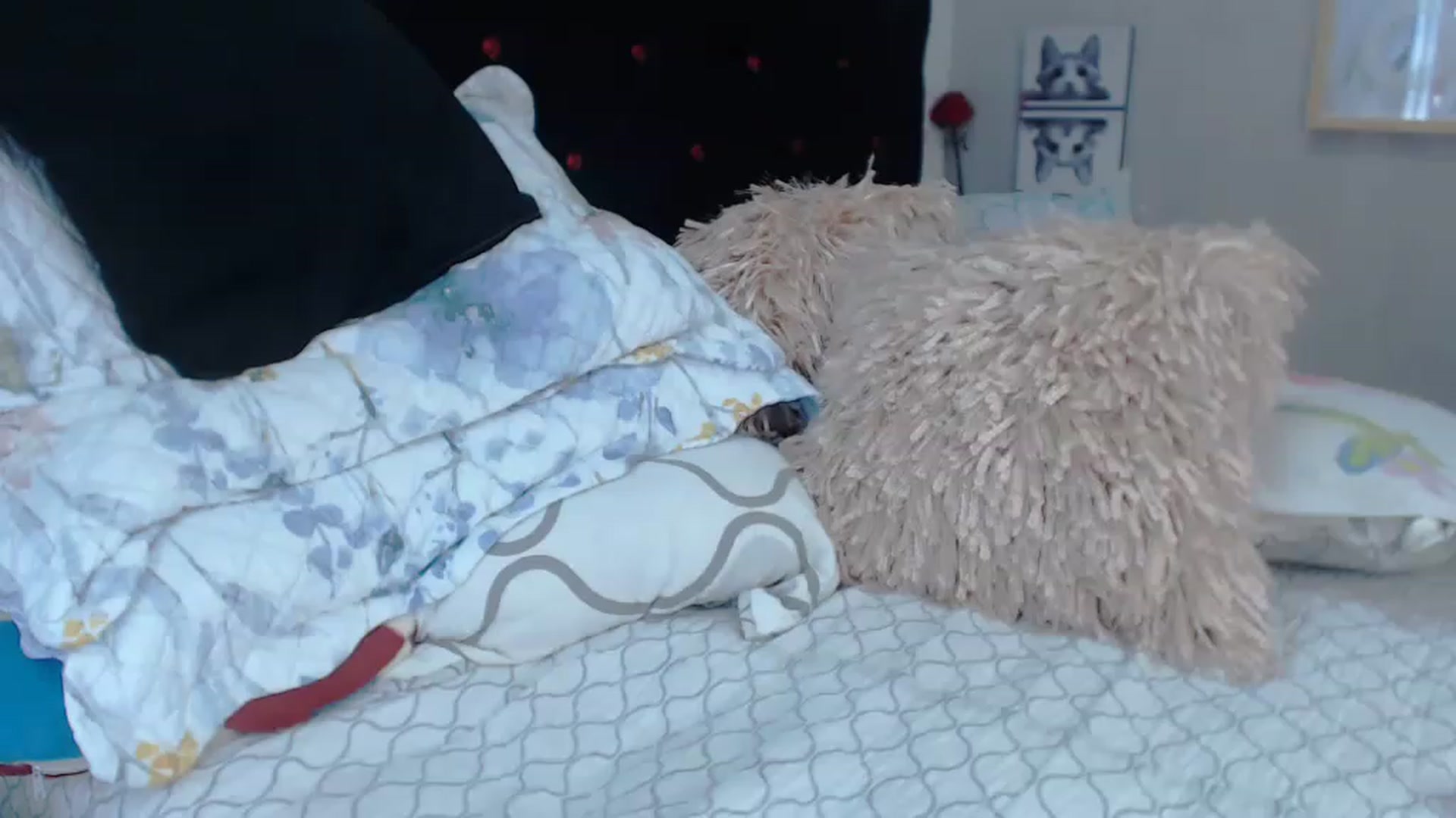 Gallery image thumbnail from SexyAlexaX's myfreecams stream on, 12/22/2022, 21:11 image 2 of 20