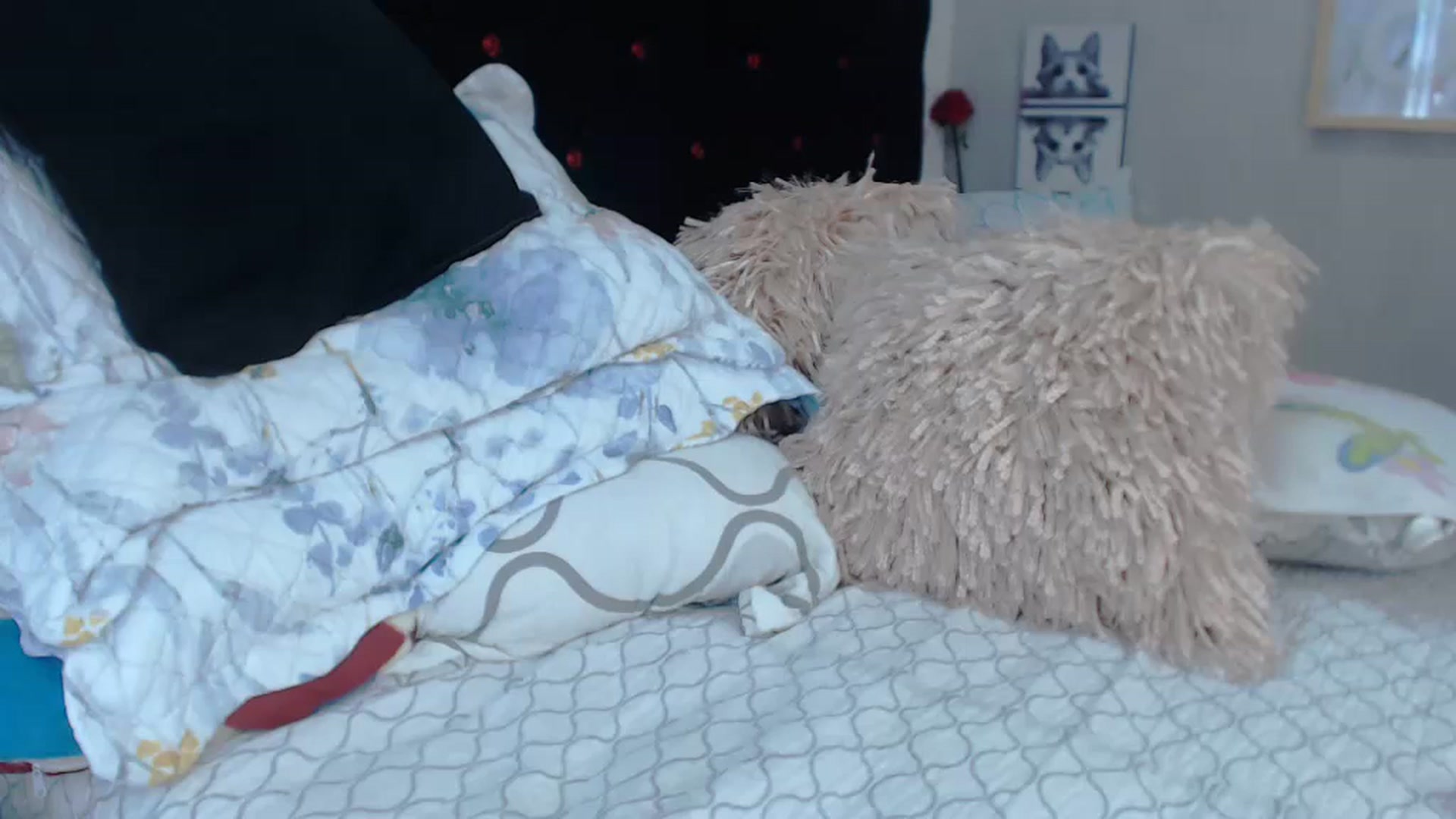 Gallery image thumbnail from SexyAlexaX's myfreecams stream on, 12/22/2022, 21:11 image 7 of 20
