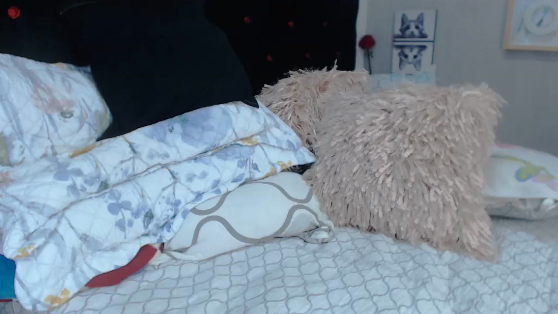 Gallery image thumbnail from SexyAlexaX's myfreecams stream on, 12/22/2022, 21:42 image 10 of 20