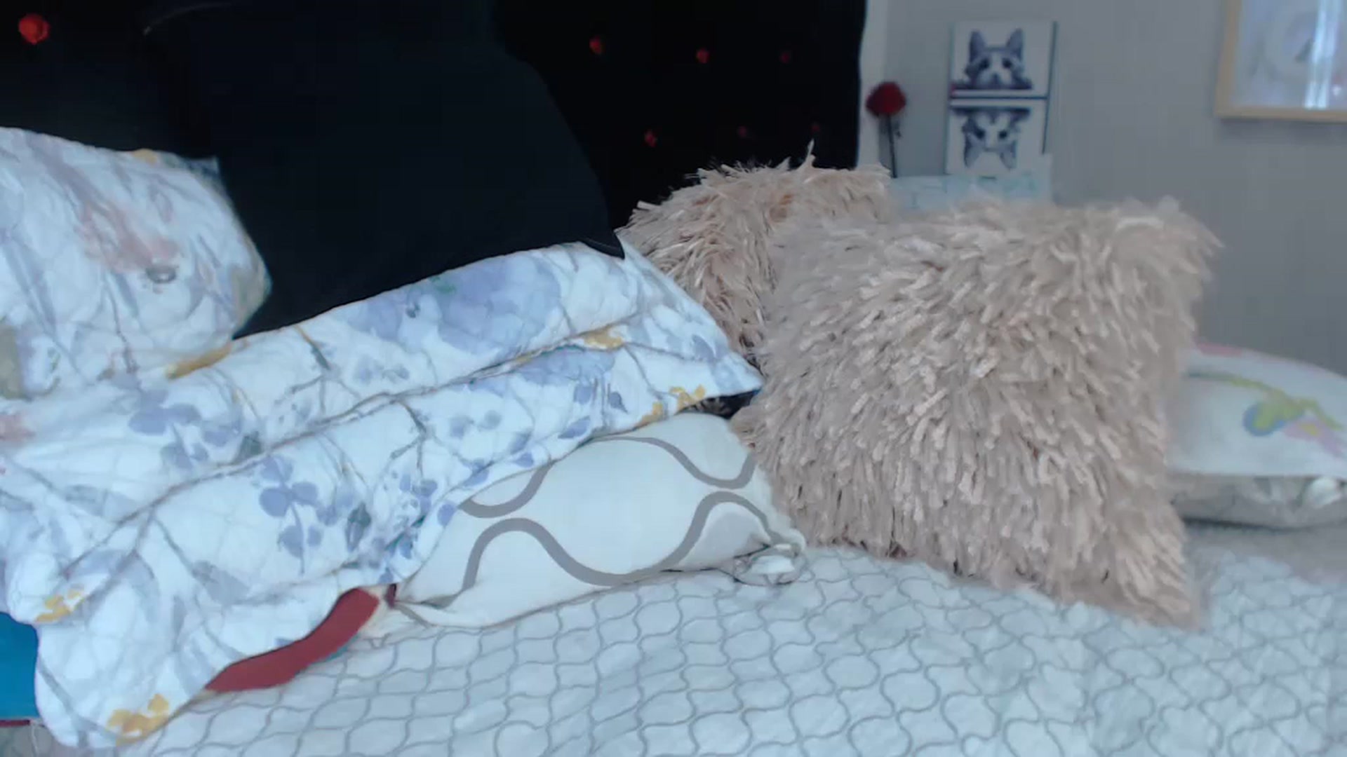 Gallery image thumbnail from SexyAlexaX's myfreecams stream on, 12/22/2022, 21:42 image 1 of 20