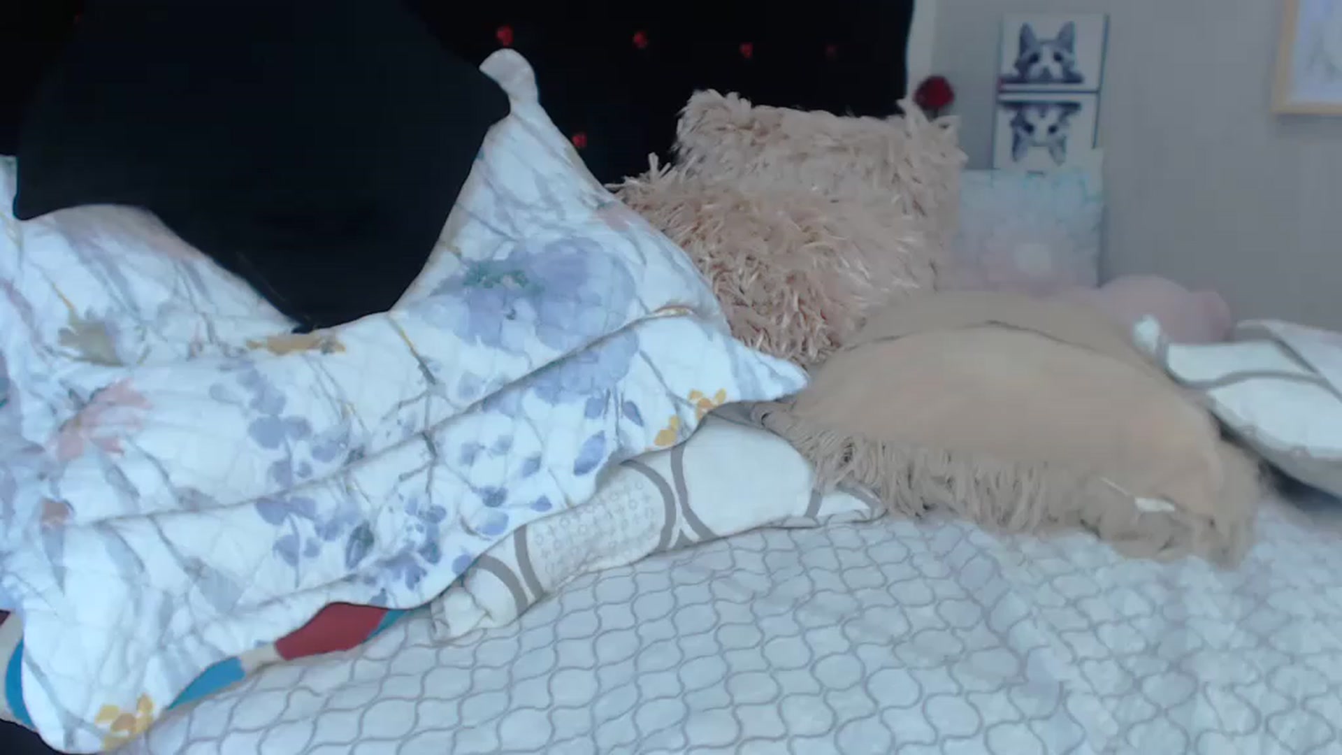 Gallery image thumbnail from SexyAlexaX's myfreecams stream on, 12/23/2022, 23:09 image 17 of 20