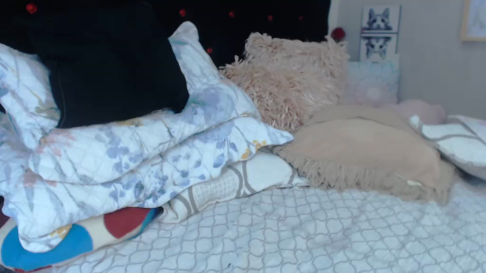 Gallery image thumbnail from SexyAlexaX's myfreecams stream on, 12/23/2022, 23:09 image 6 of 20