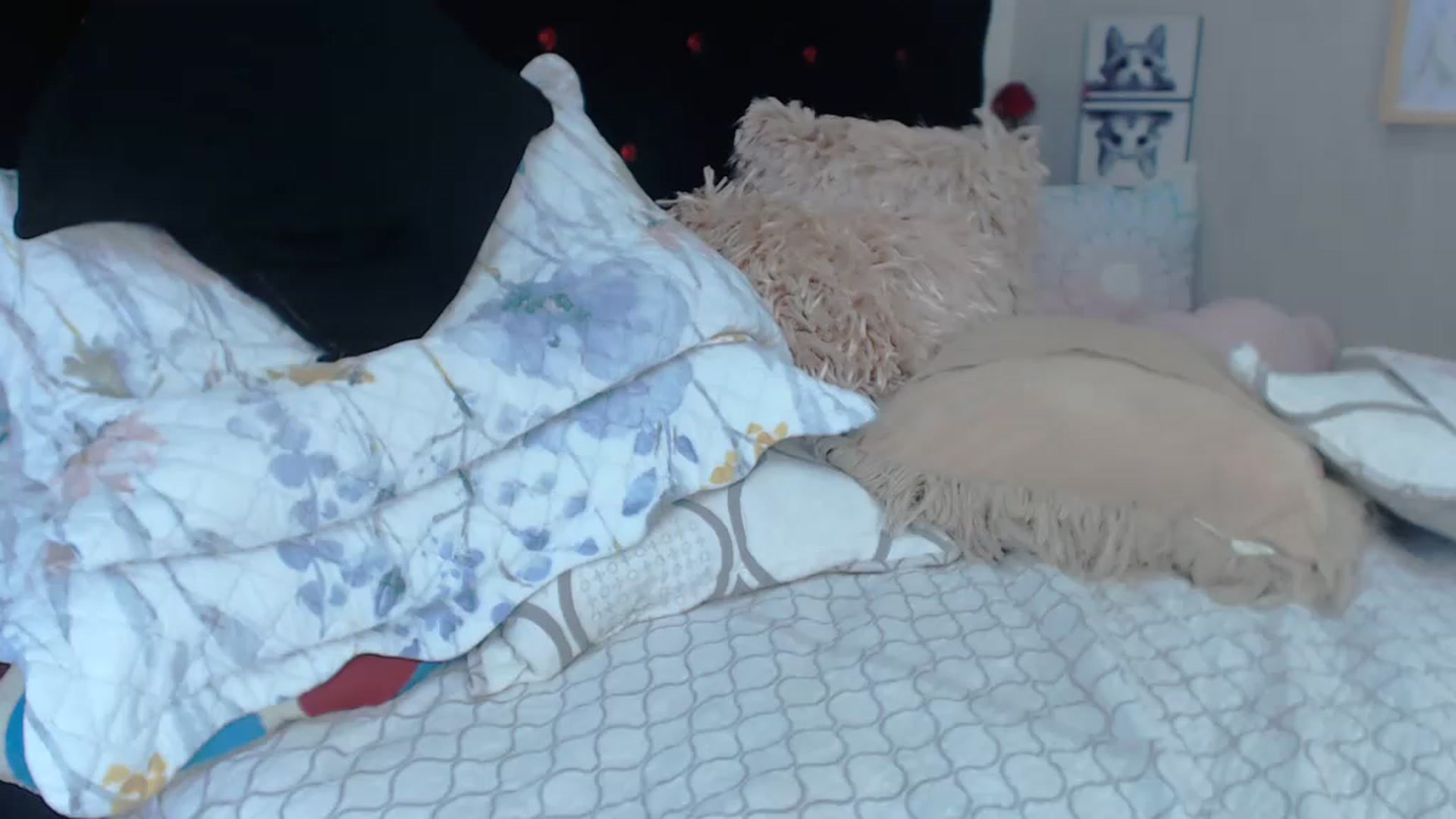 Gallery image thumbnail from SexyAlexaX's myfreecams stream on, 12/23/2022, 23:09 image 16 of 20
