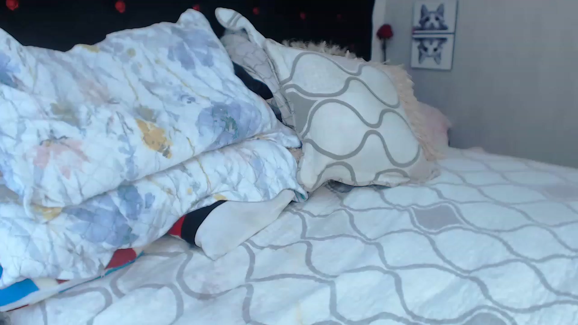 Gallery image thumbnail from SexyAlexaX's myfreecams stream on, 04/10/2023, 17:31 image 2 of 20