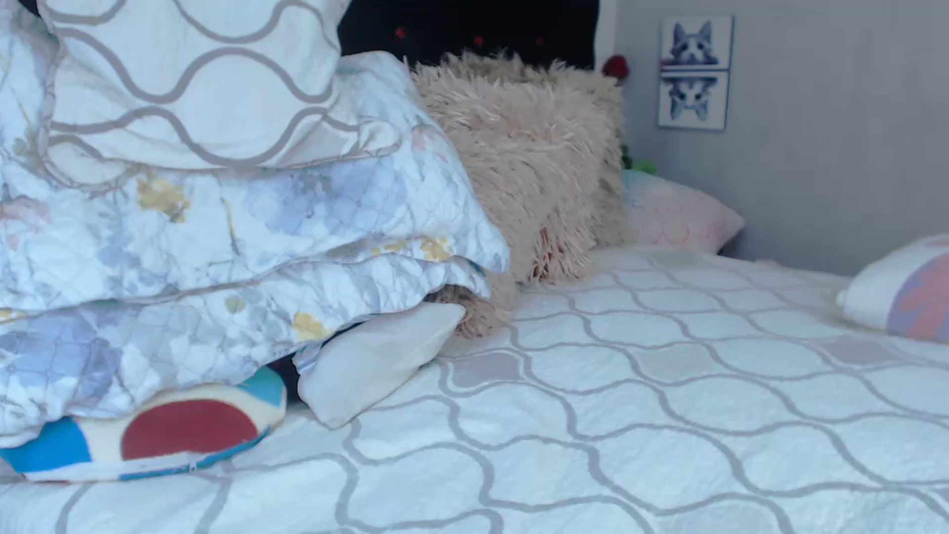 Gallery image thumbnail from SexyAlexaX's myfreecams stream on, 04/11/2023, 15:41 image 6 of 20