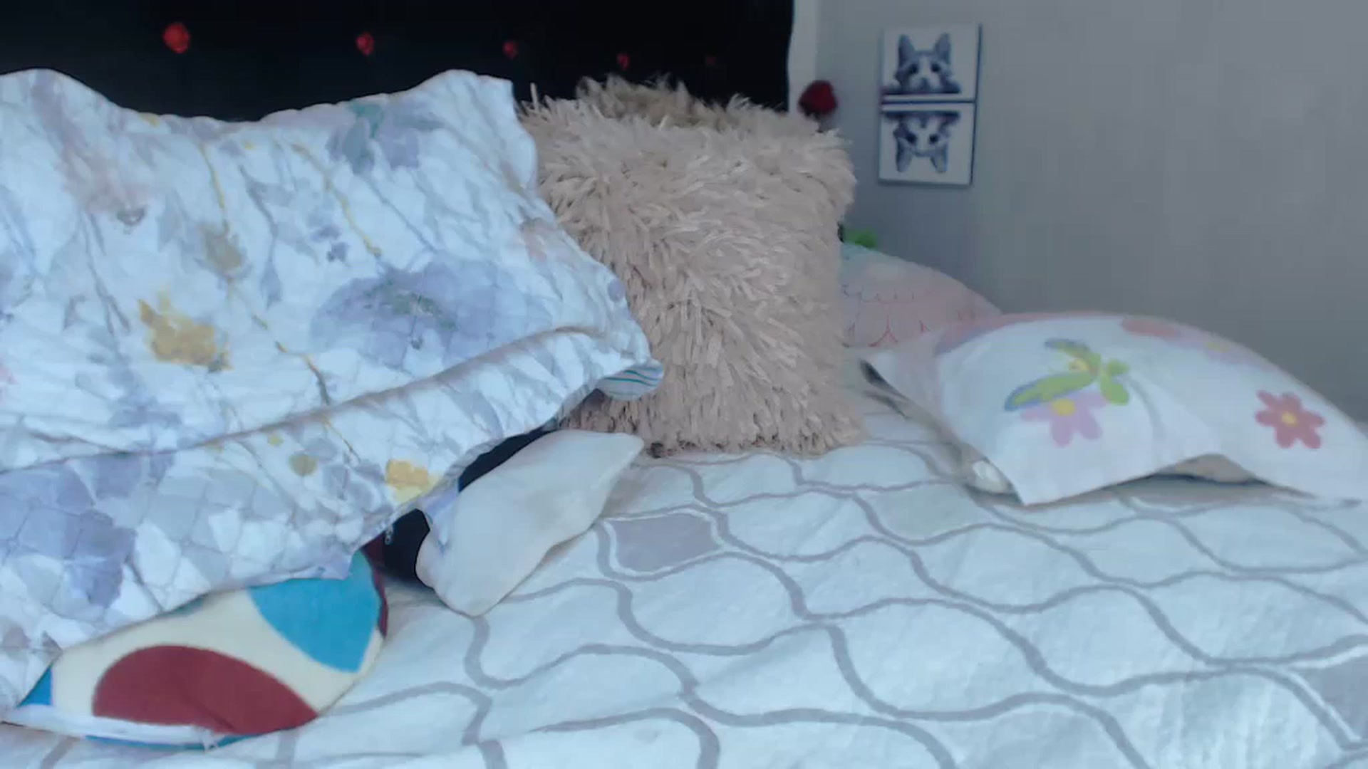 Gallery image thumbnail from SexyAlexaX's myfreecams stream on, 04/11/2023, 17:41 image 4 of 20