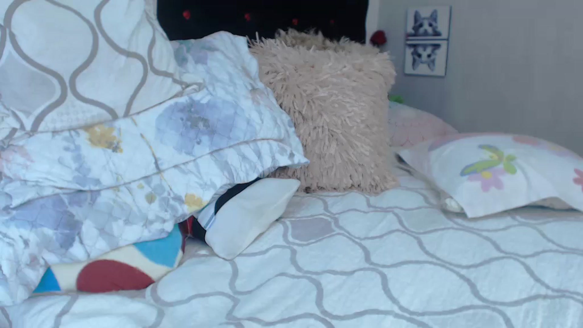 Gallery image thumbnail from SexyAlexaX's myfreecams stream on, 04/11/2023, 17:41 image 17 of 20