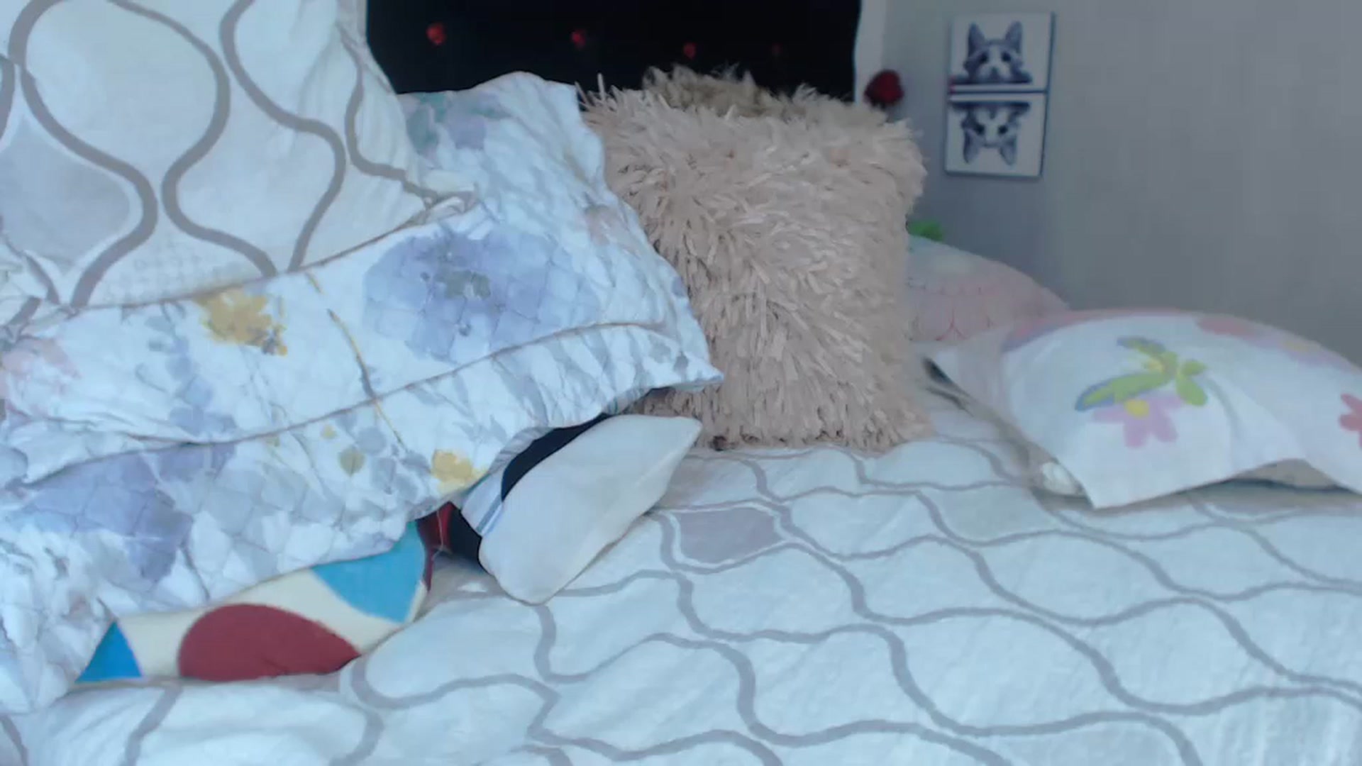 Gallery image thumbnail from SexyAlexaX's myfreecams stream on, 04/11/2023, 17:41 image 18 of 20