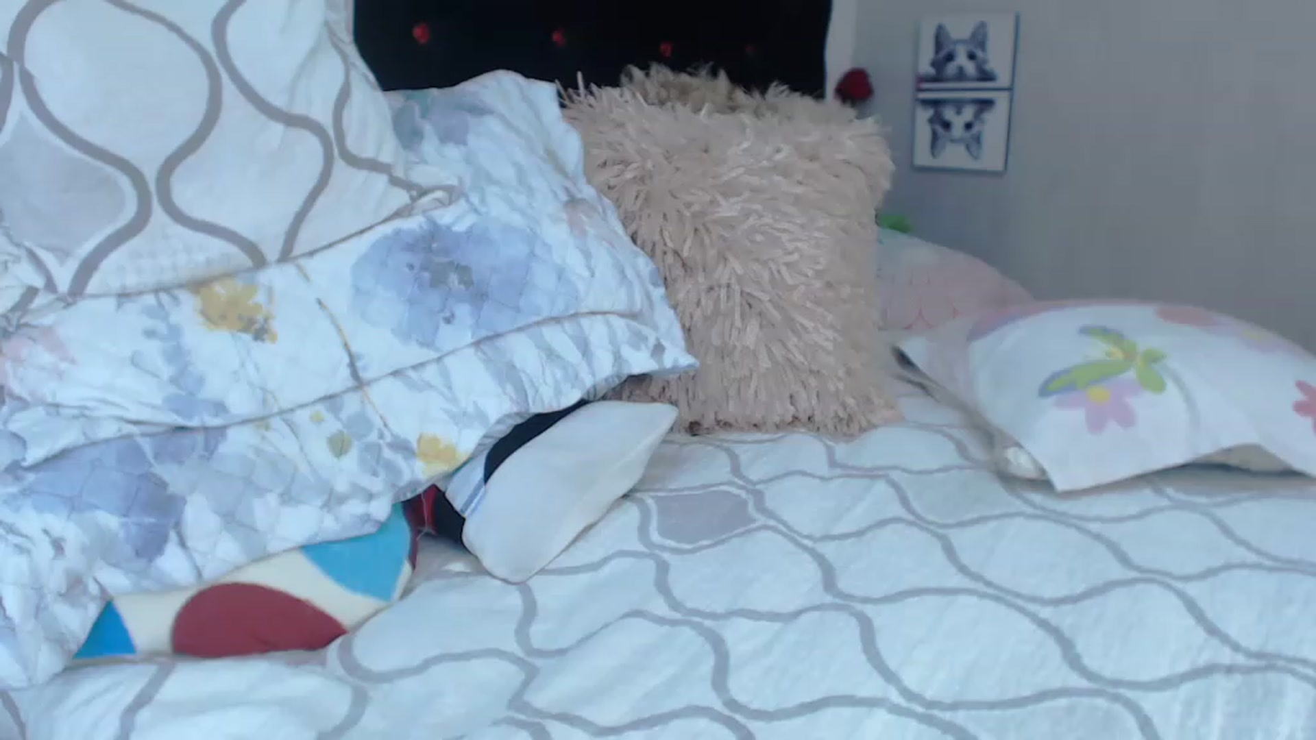 Gallery image thumbnail from SexyAlexaX's myfreecams stream on, 04/11/2023, 17:52 image 18 of 20