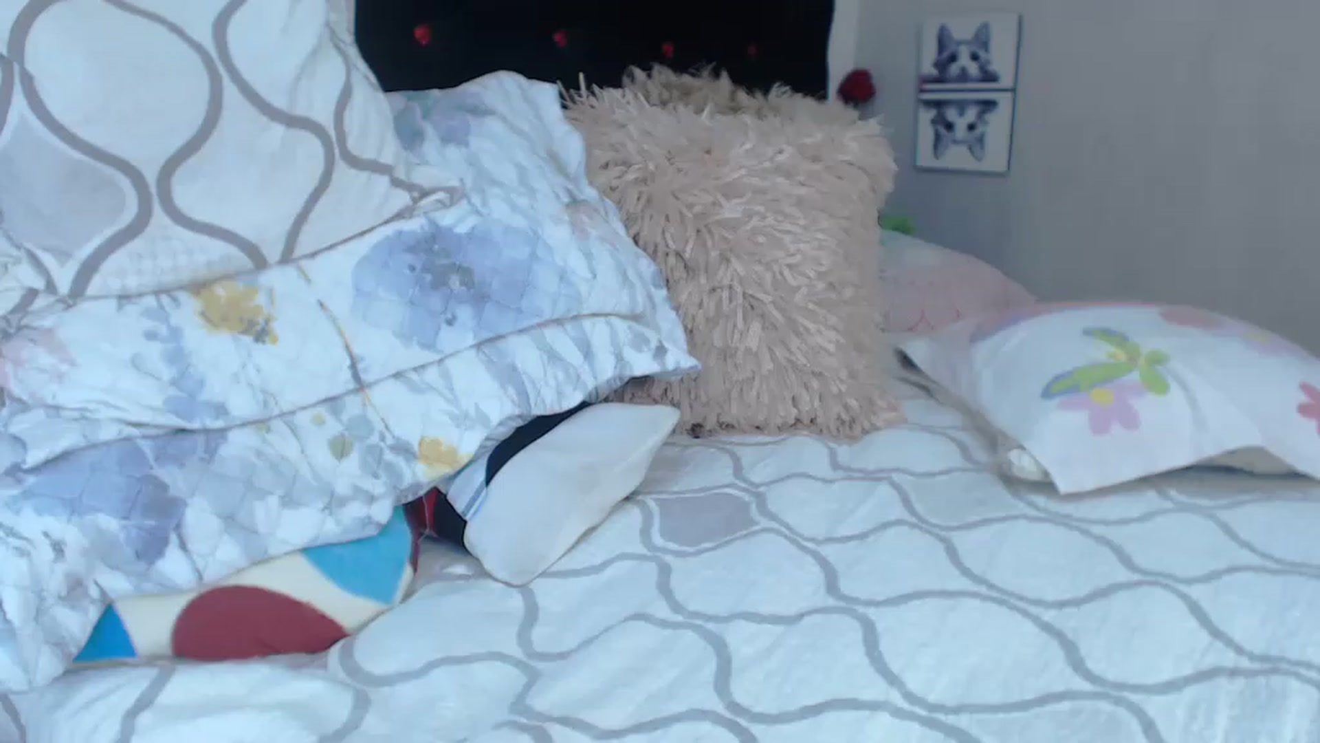 Gallery image thumbnail from SexyAlexaX's myfreecams stream on, 04/11/2023, 17:52 image 9 of 20