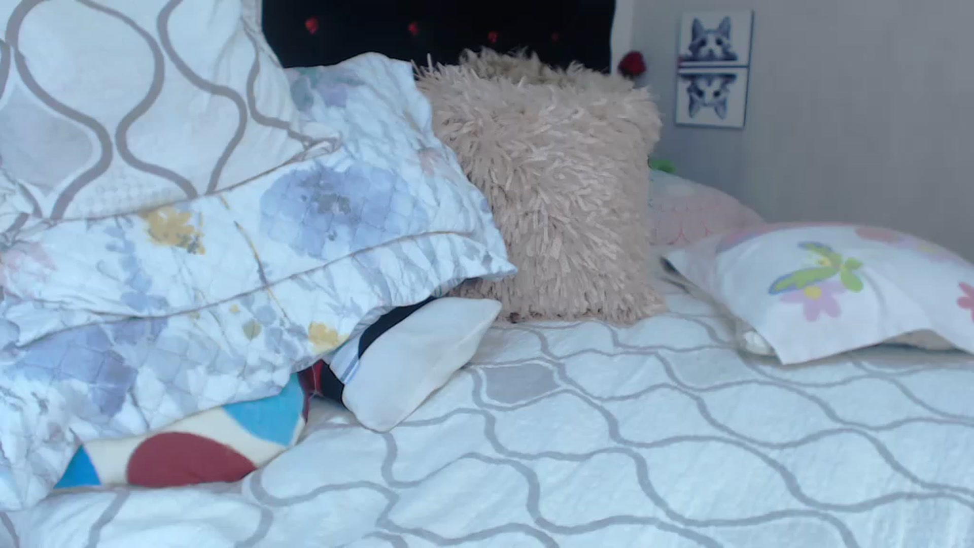 Gallery image thumbnail from SexyAlexaX's myfreecams stream on, 04/11/2023, 17:52 image 6 of 20