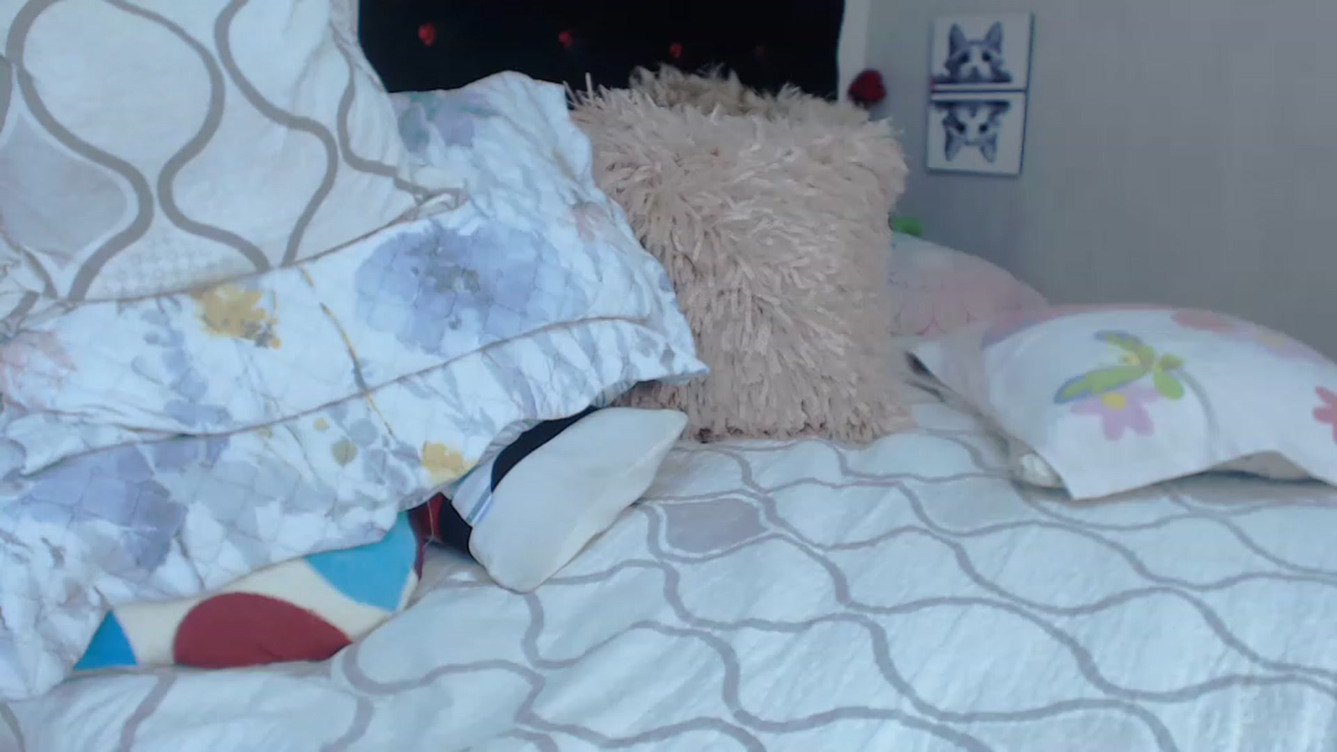 Gallery image thumbnail from SexyAlexaX's myfreecams stream on, 04/11/2023, 17:52 image 10 of 20