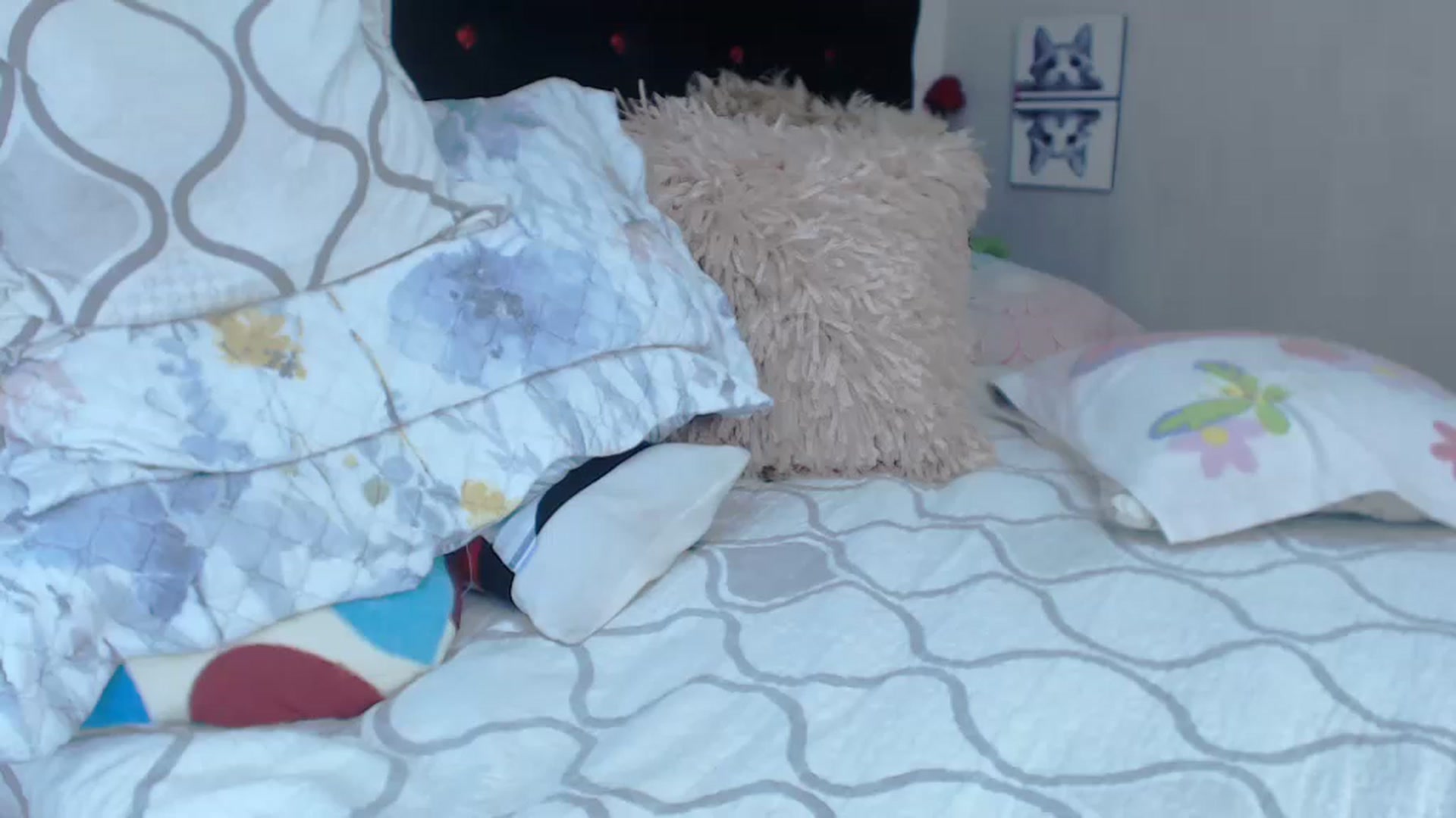 Gallery image thumbnail from SexyAlexaX's myfreecams stream on, 04/11/2023, 17:52 image 15 of 20