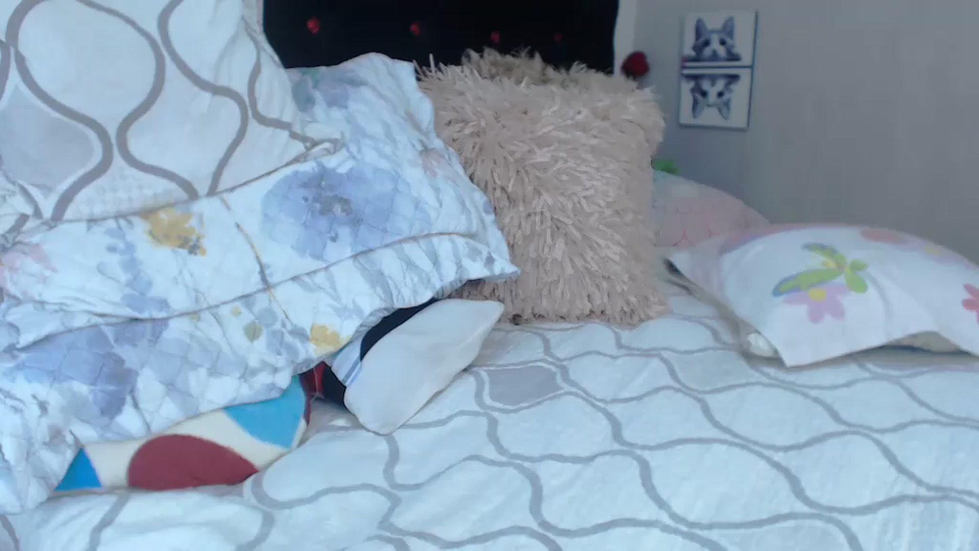 Gallery image thumbnail from SexyAlexaX's myfreecams stream on, 04/11/2023, 17:52 image 5 of 20