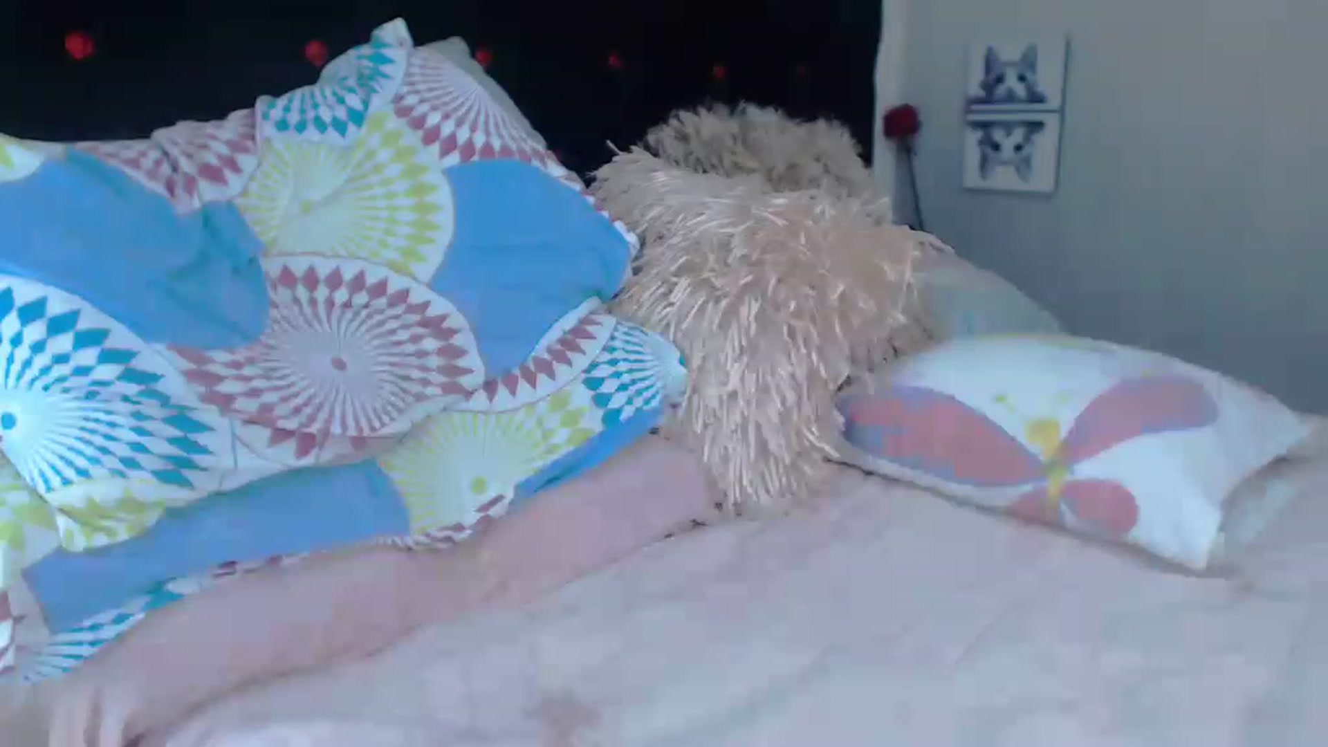 Gallery image thumbnail from SexyAlexaX's myfreecams stream on, 05/16/2023, 18:45 image 20 of 20