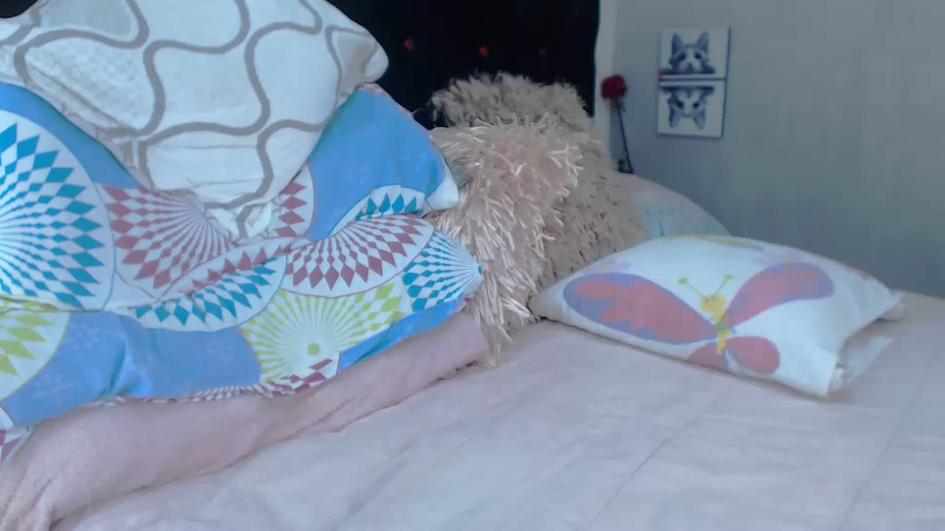 Gallery image thumbnail from SexyAlexaX's myfreecams stream on, 05/16/2023, 18:45 image 9 of 20
