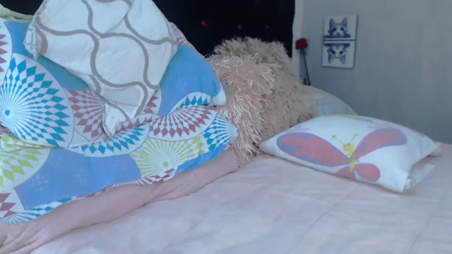 Gallery image thumbnail from SexyAlexaX's myfreecams stream on, 05/16/2023, 18:45 image 2 of 20