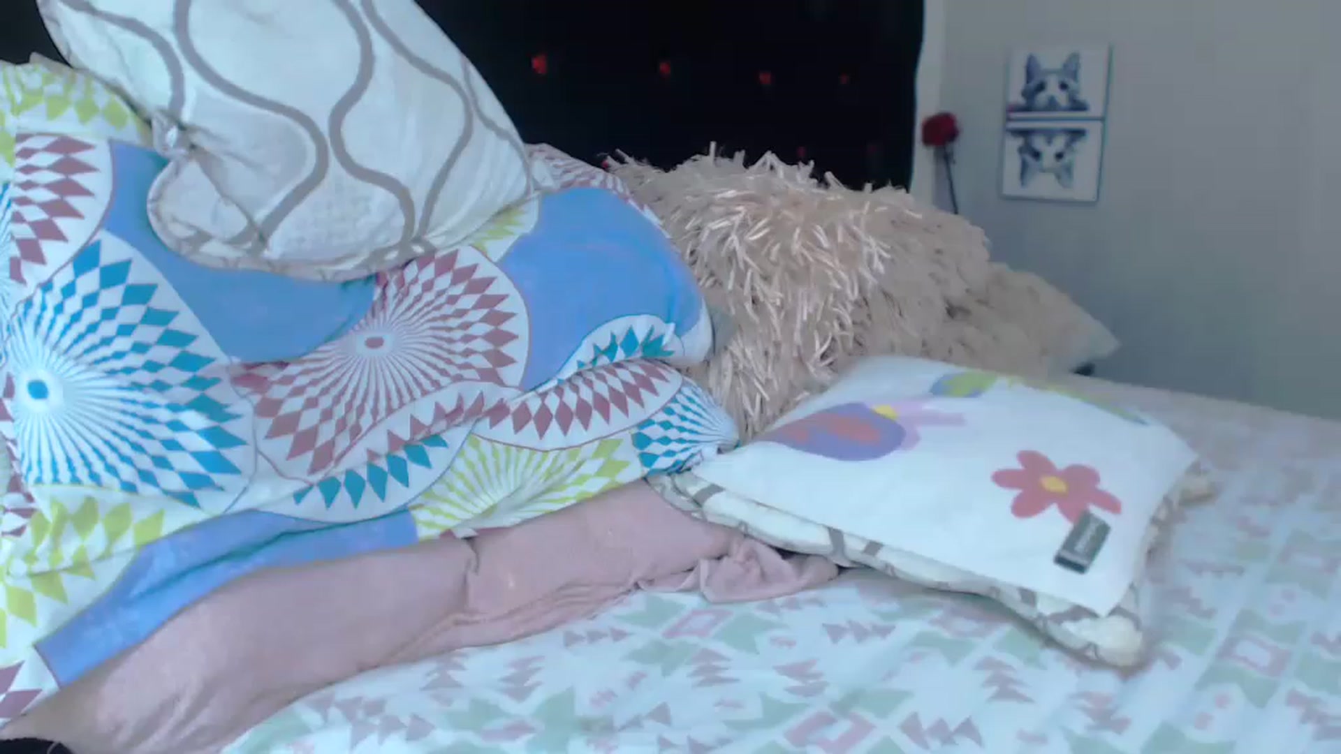 Gallery image thumbnail from SexyAlexaX's myfreecams stream on, 05/17/2023, 18:14 image 15 of 20