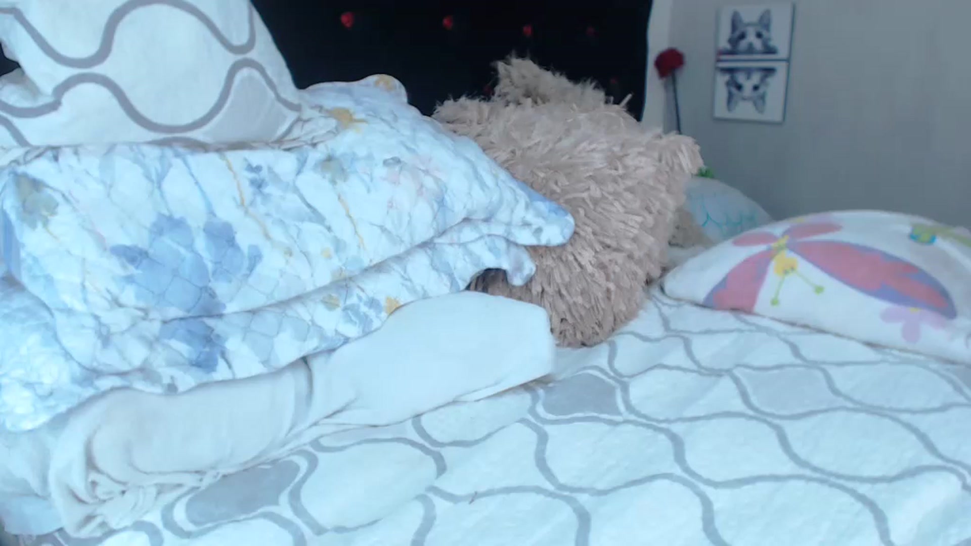 Gallery image thumbnail from SexyAlexaX's myfreecams stream on, 06/21/2023, 20:38 image 18 of 20