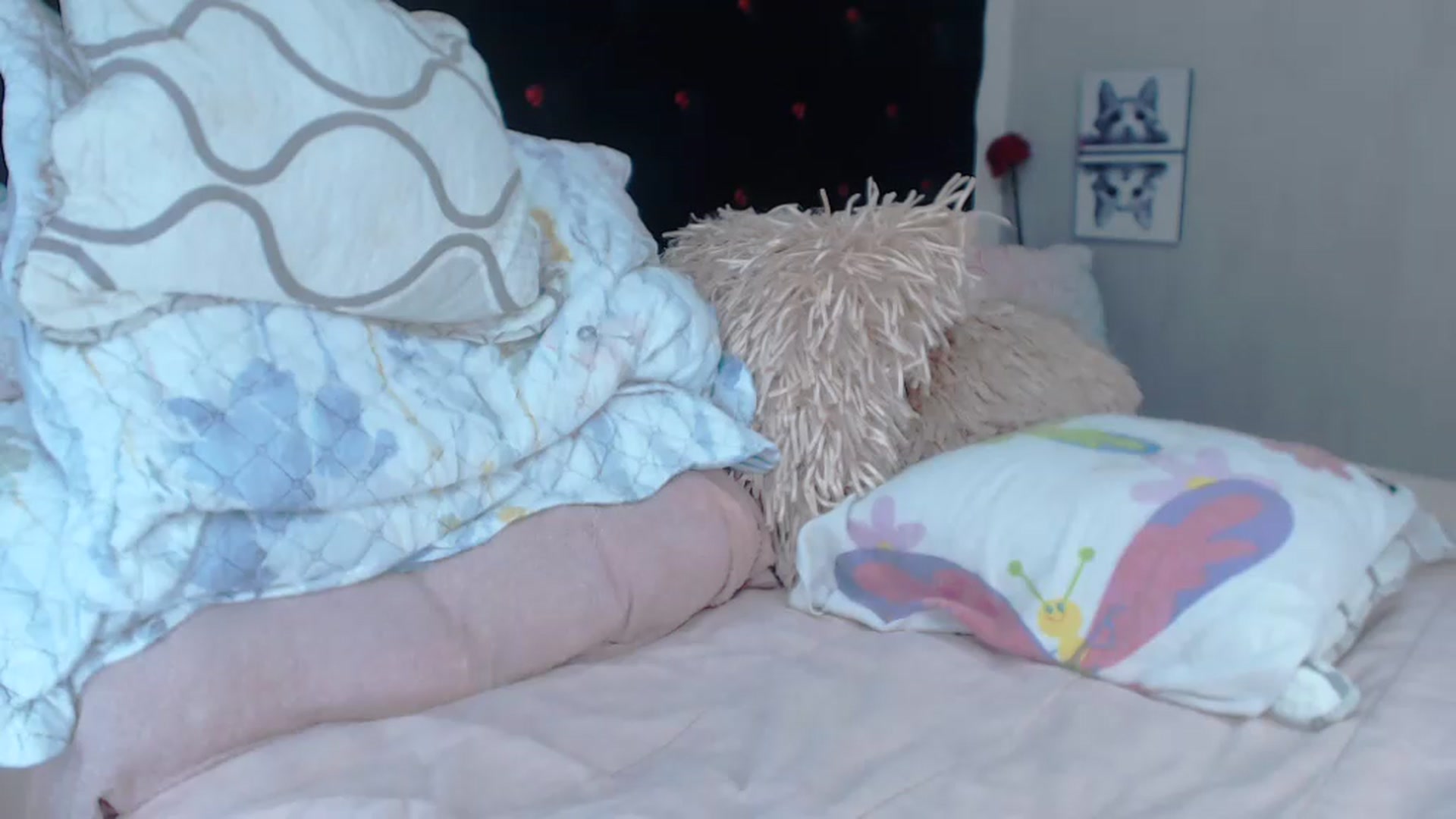 Gallery image thumbnail from SexyAlexaX's myfreecams stream on, 07/20/2023, 17:16 image 16 of 20